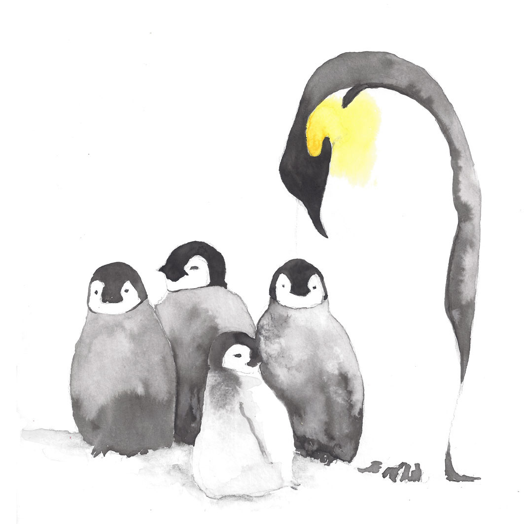 Carte postale pingouin