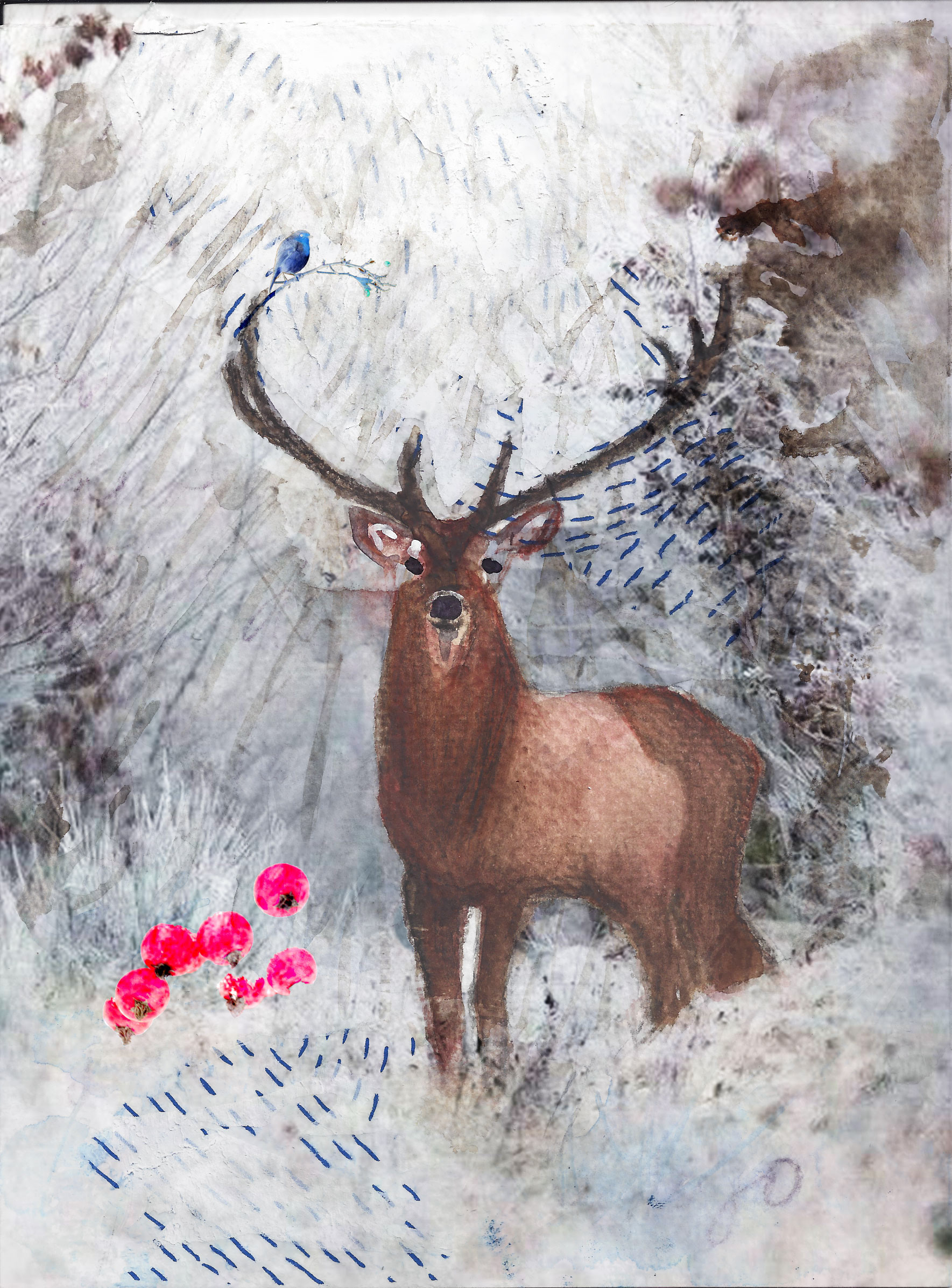 Carte postale cerf