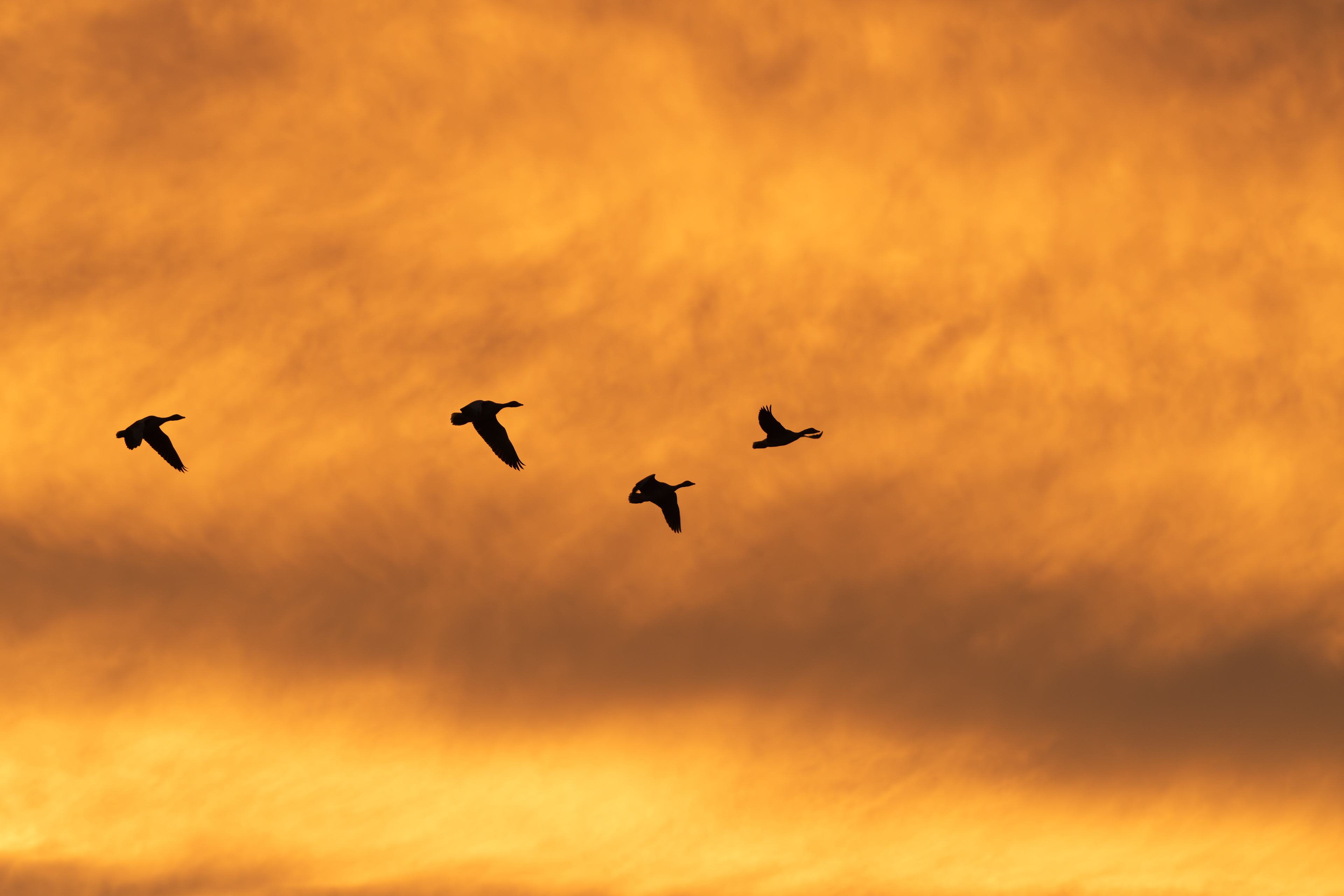 A travers nuage
