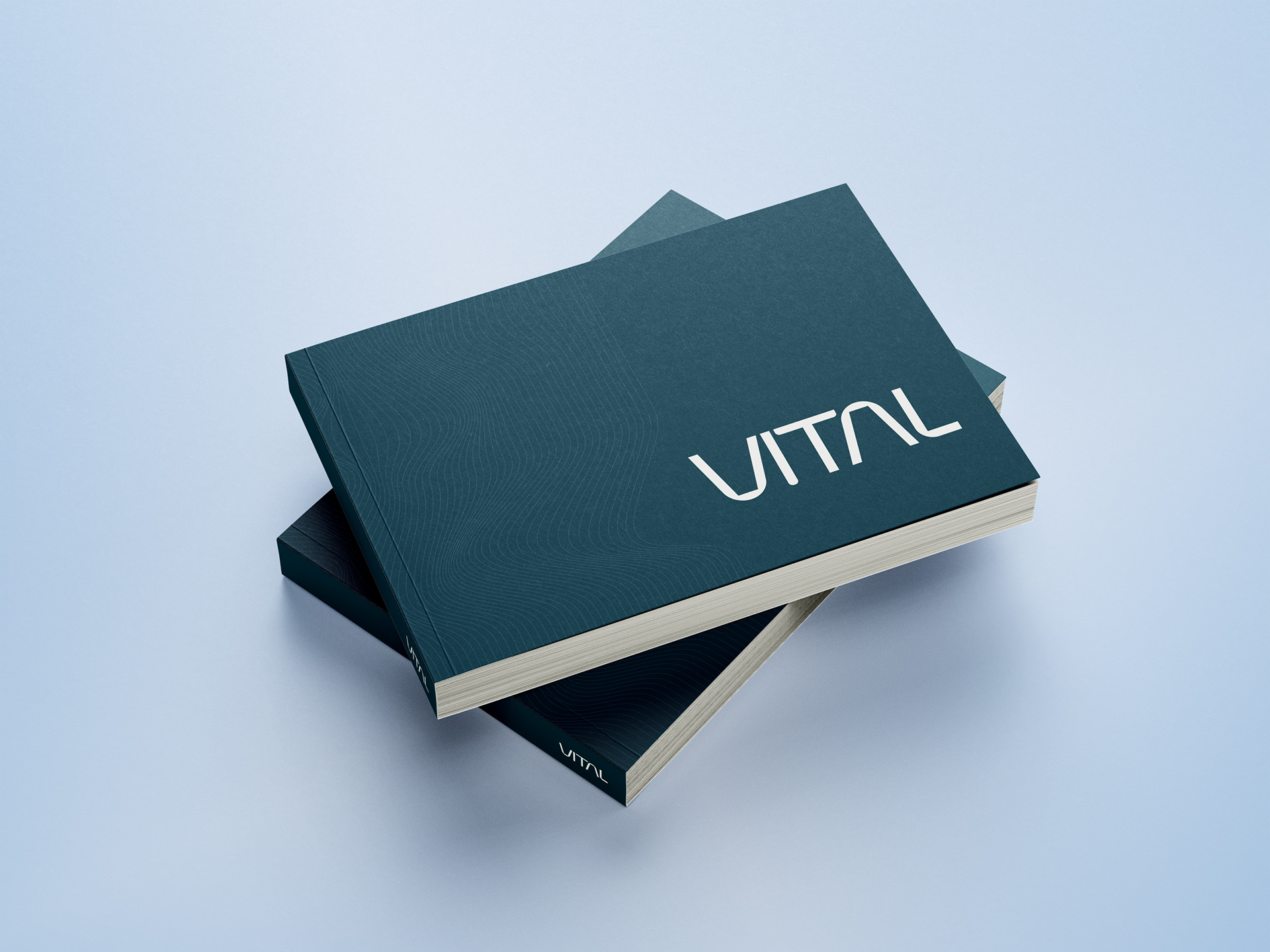 Manual de Marca y Empaque