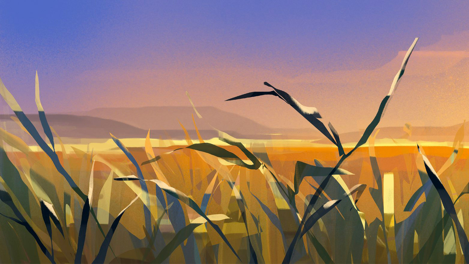Background 4