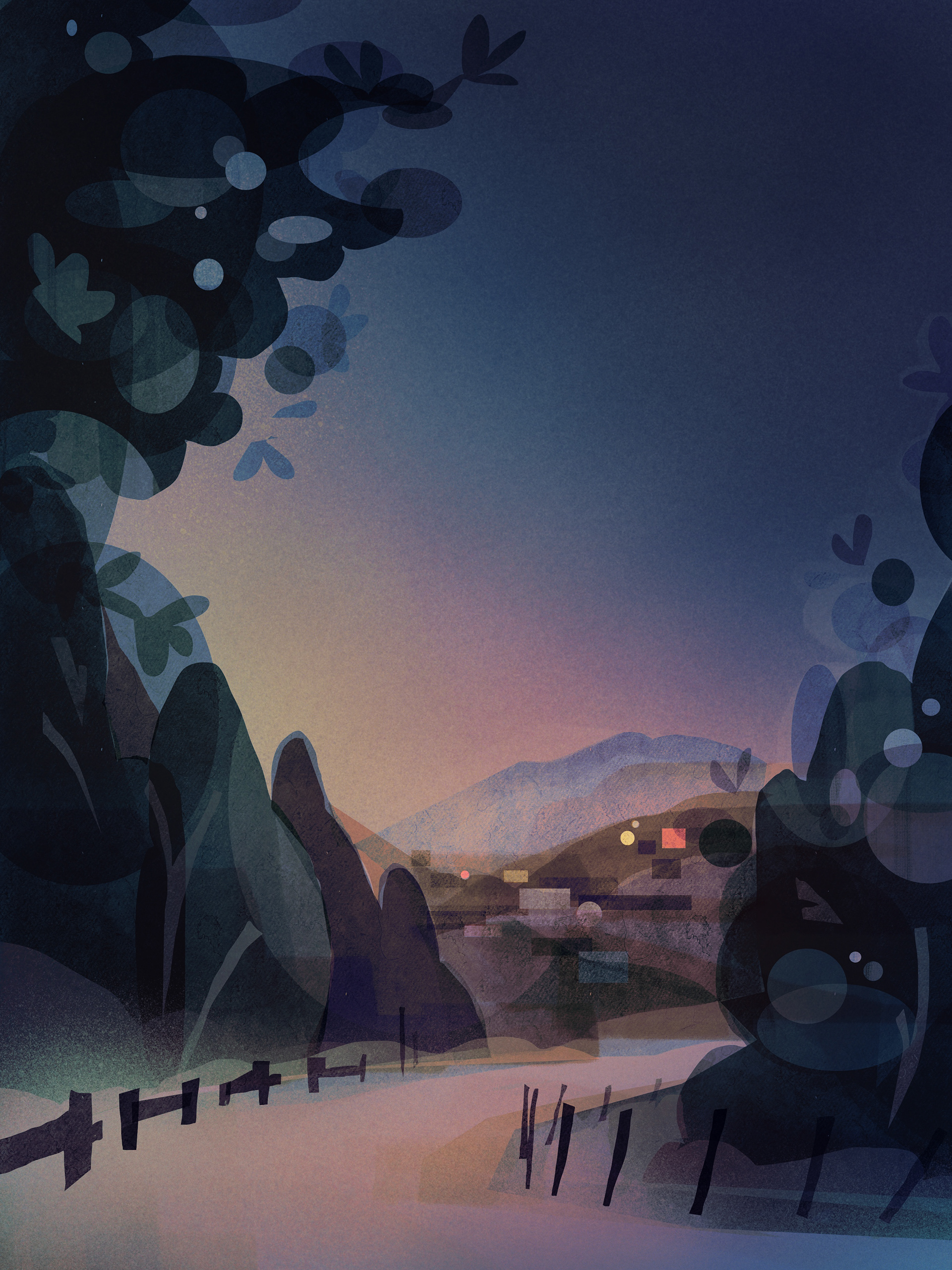 Forest Night