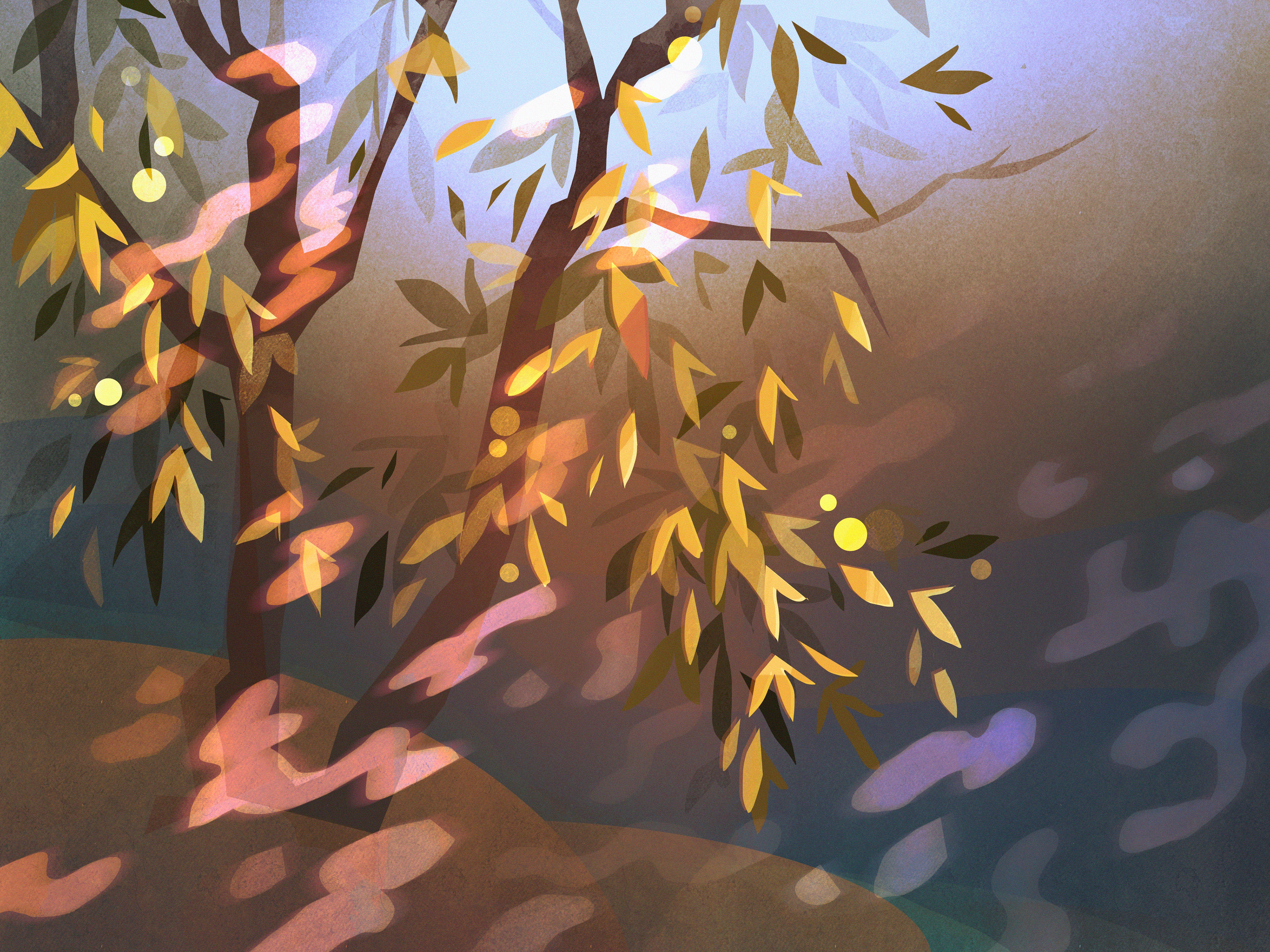 creek bush