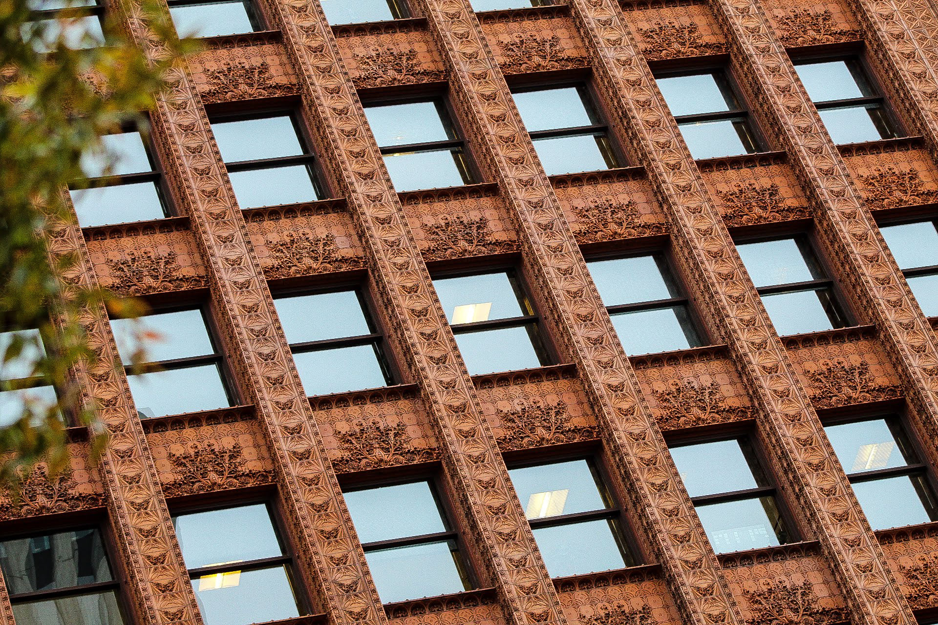 Windows (2019)
