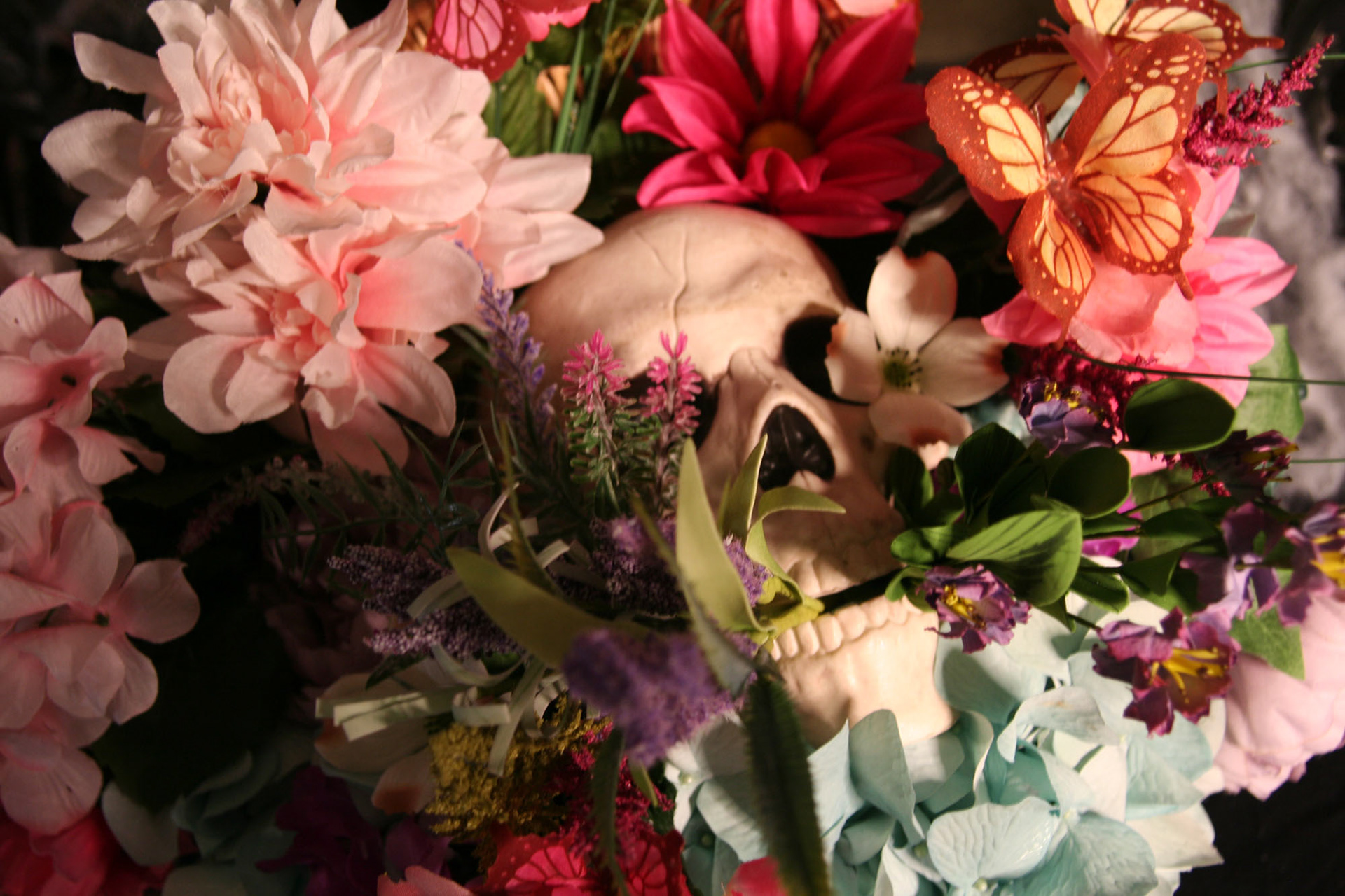 “Basket Skull: Light” – Principles of Photography