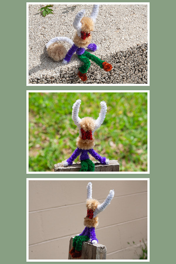 “Tryptic: Little Friend” – Digital Photography I