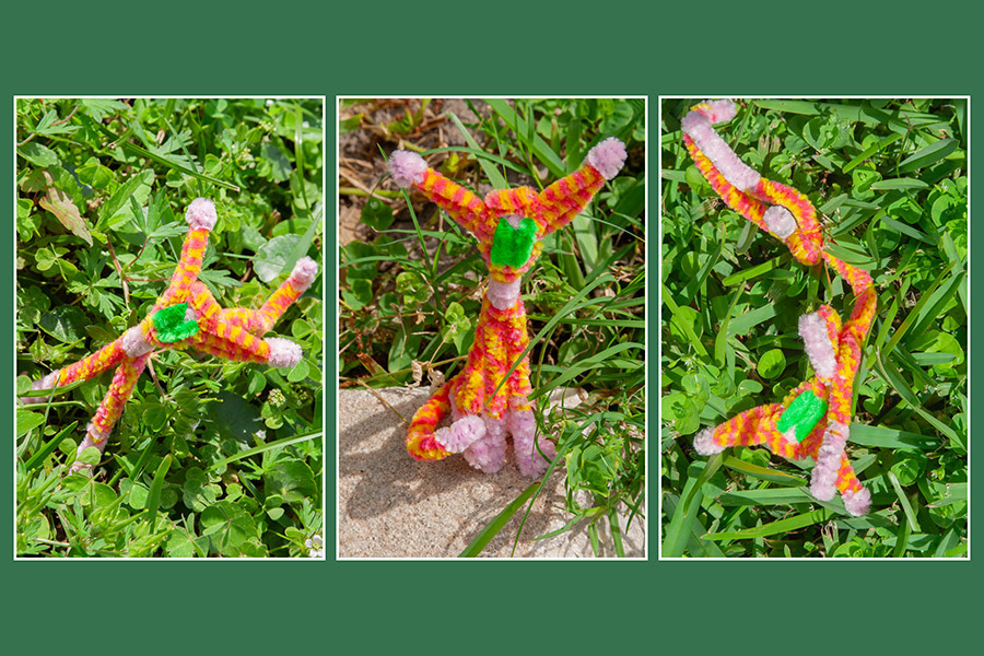 “Tryptic: Kitty Cat” – Digital Photography I