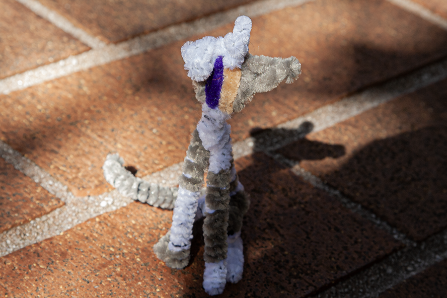 “Little Kitty” – Digital Photography I