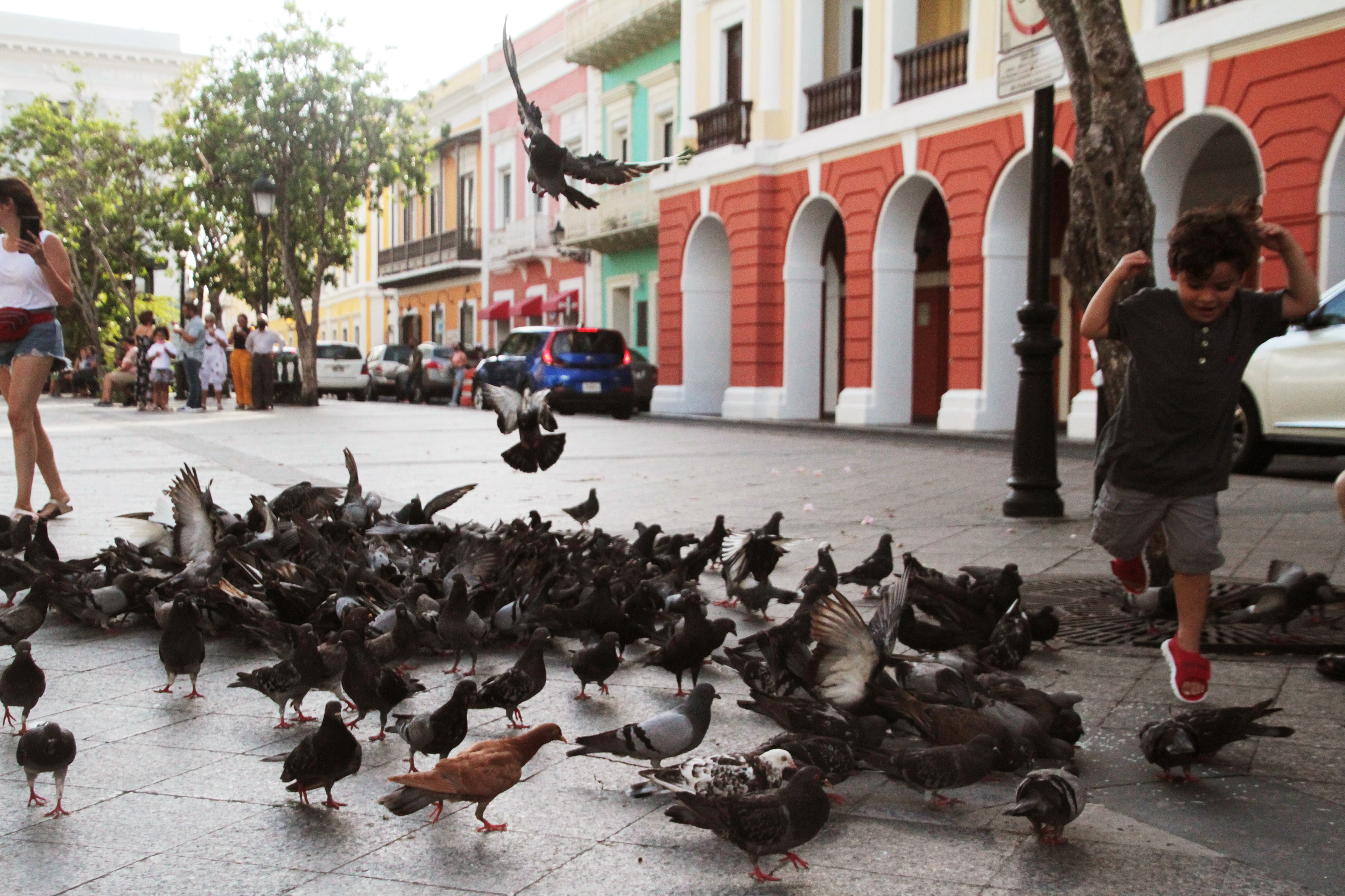 Joys of Innocence en la Placita, Viejo San Juan, 2021.