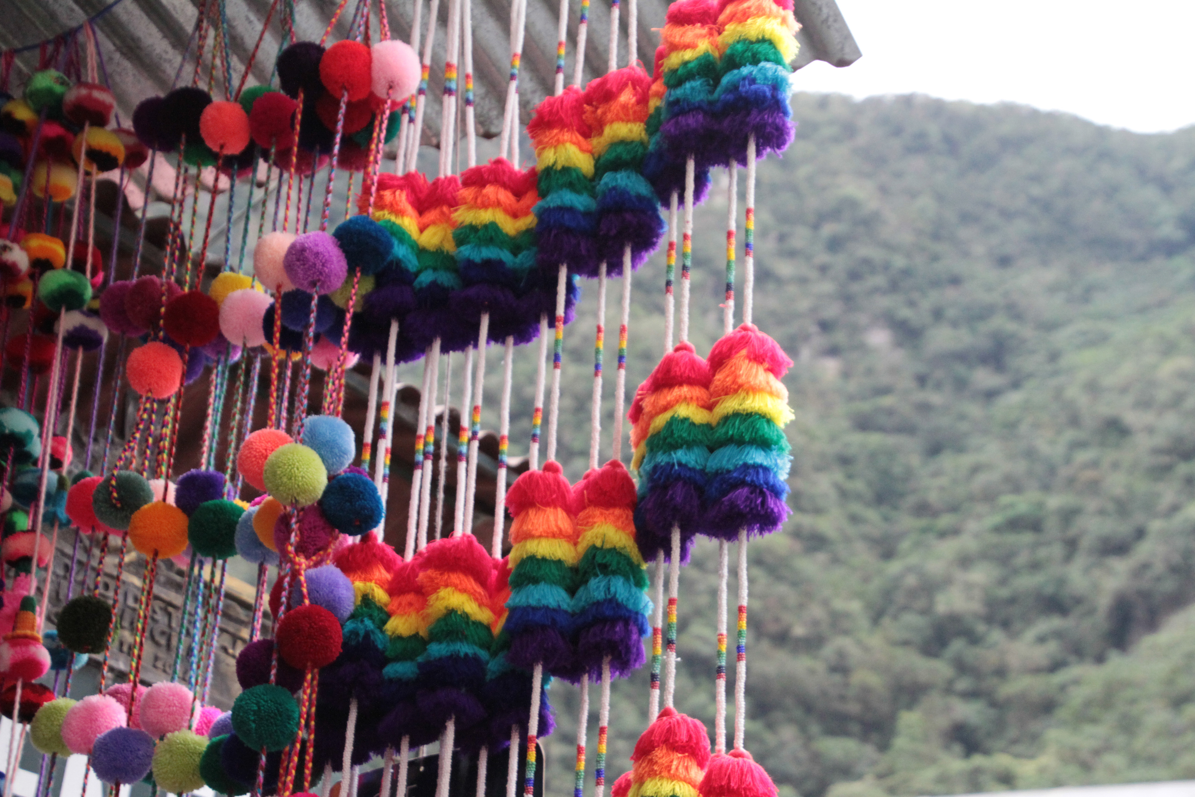 Andean pom-poms, 2022.