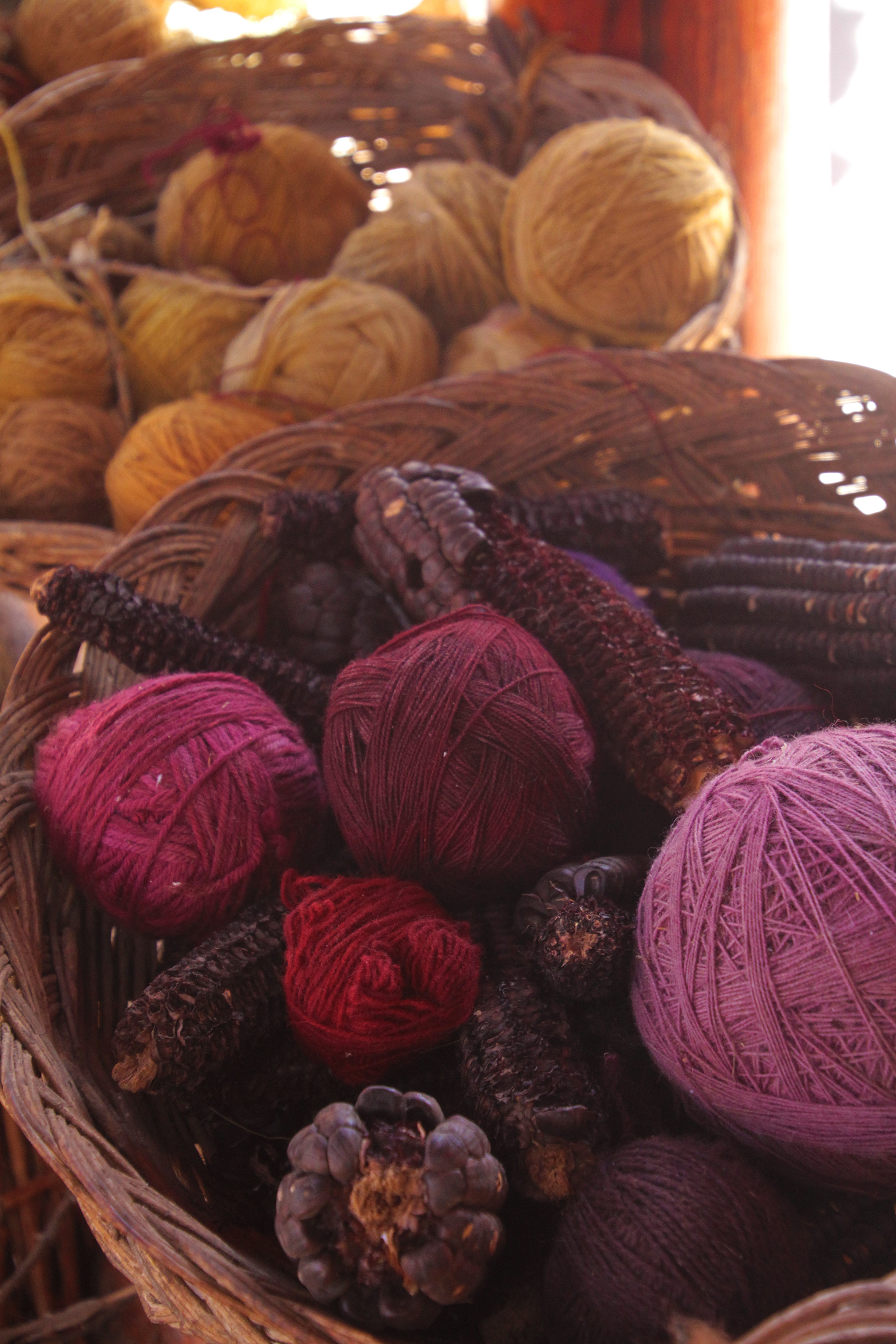 Cochineal is for Red, 2022.