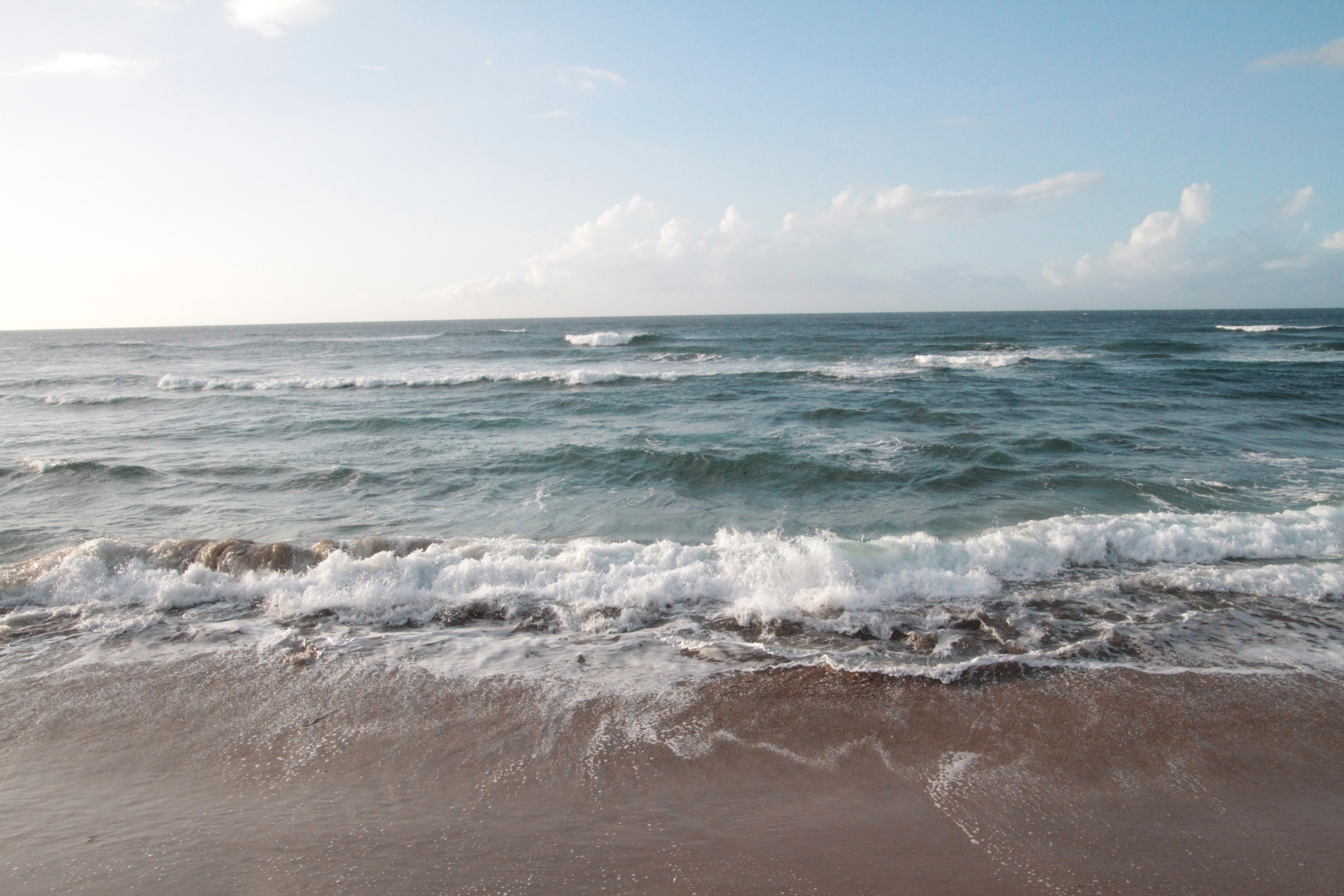 playa Brava, Arecibo, 2021