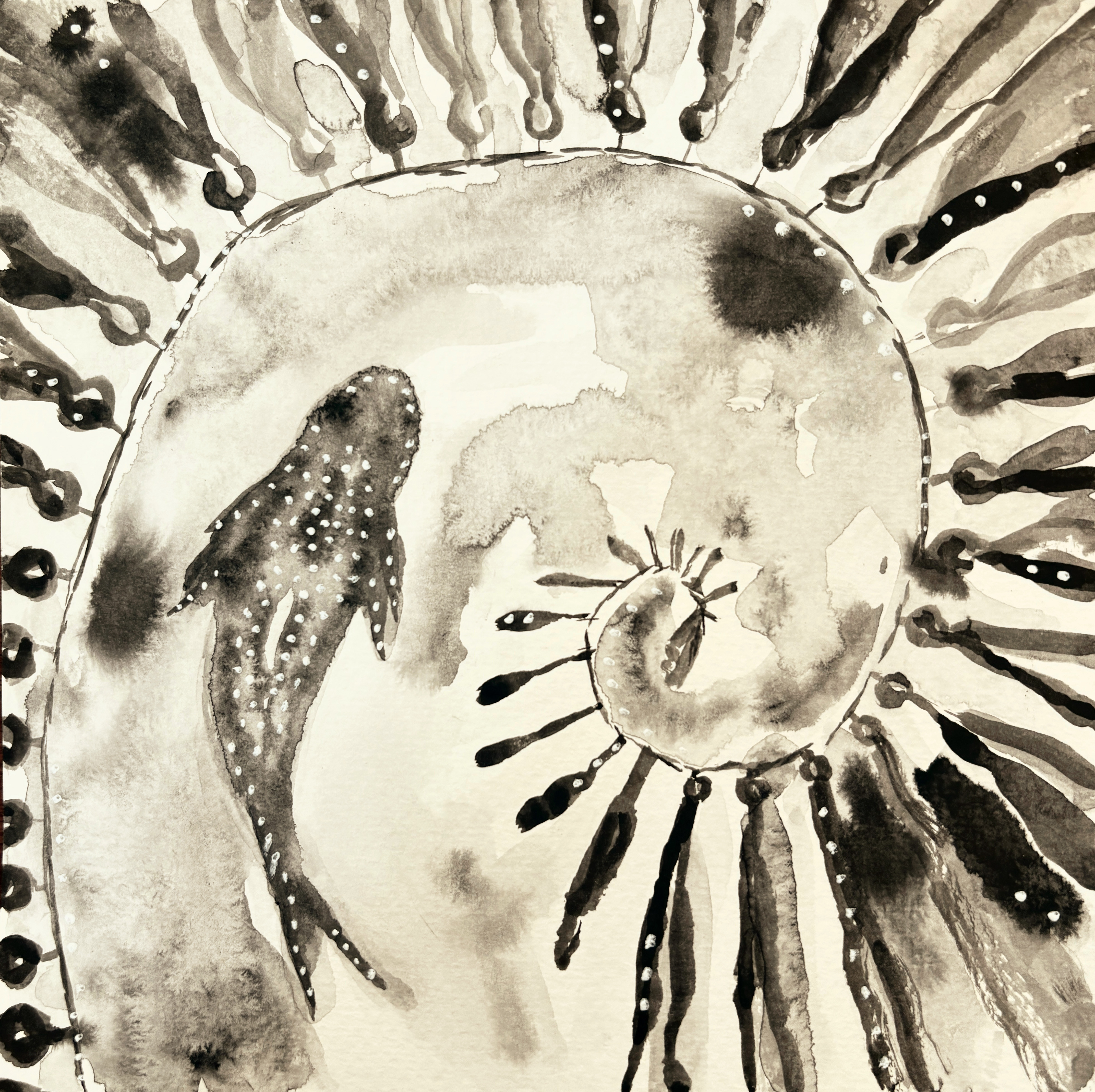 For Lily Ryder's Album Songfish