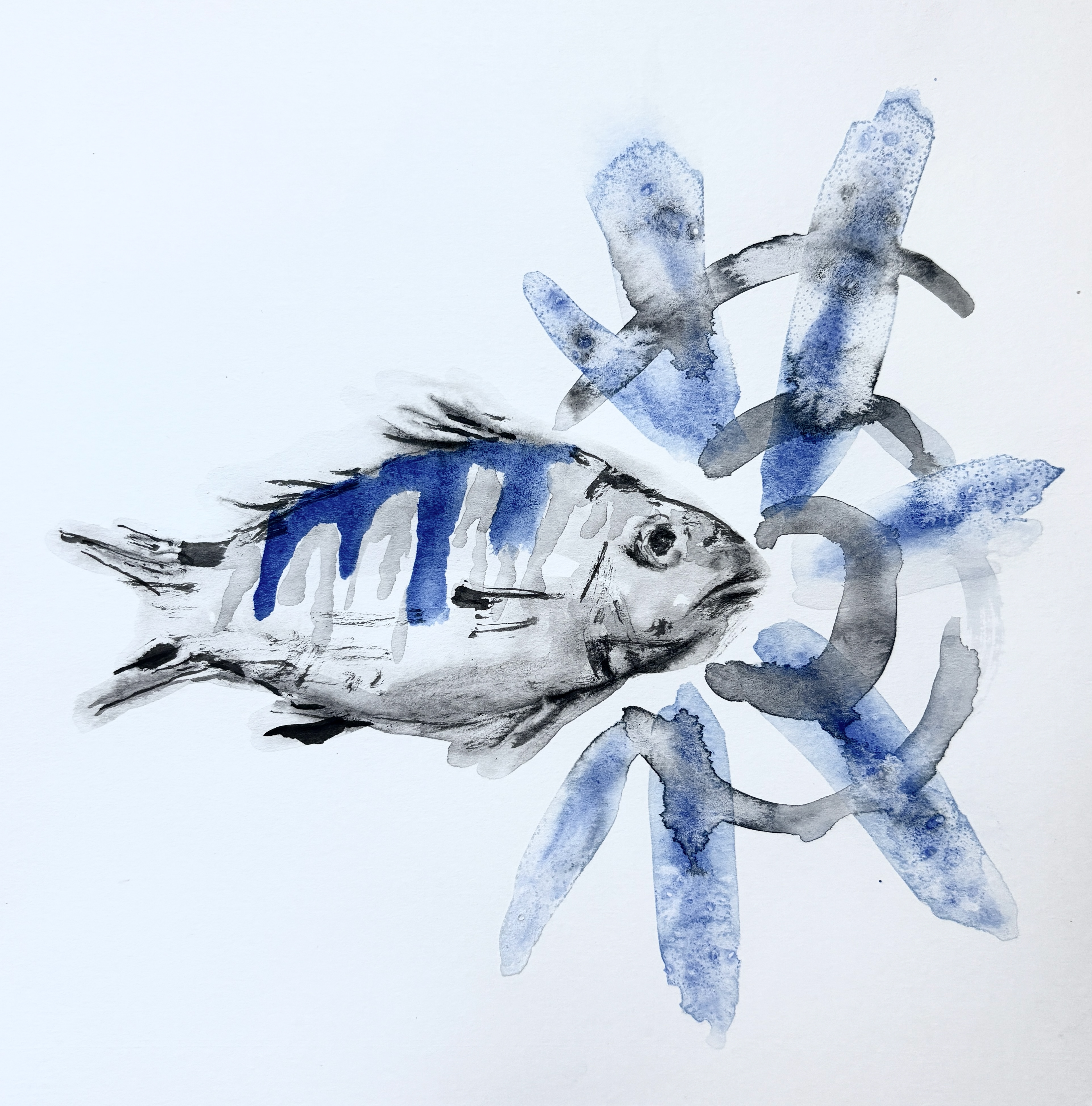 For Lily Ryder's Album Songfish