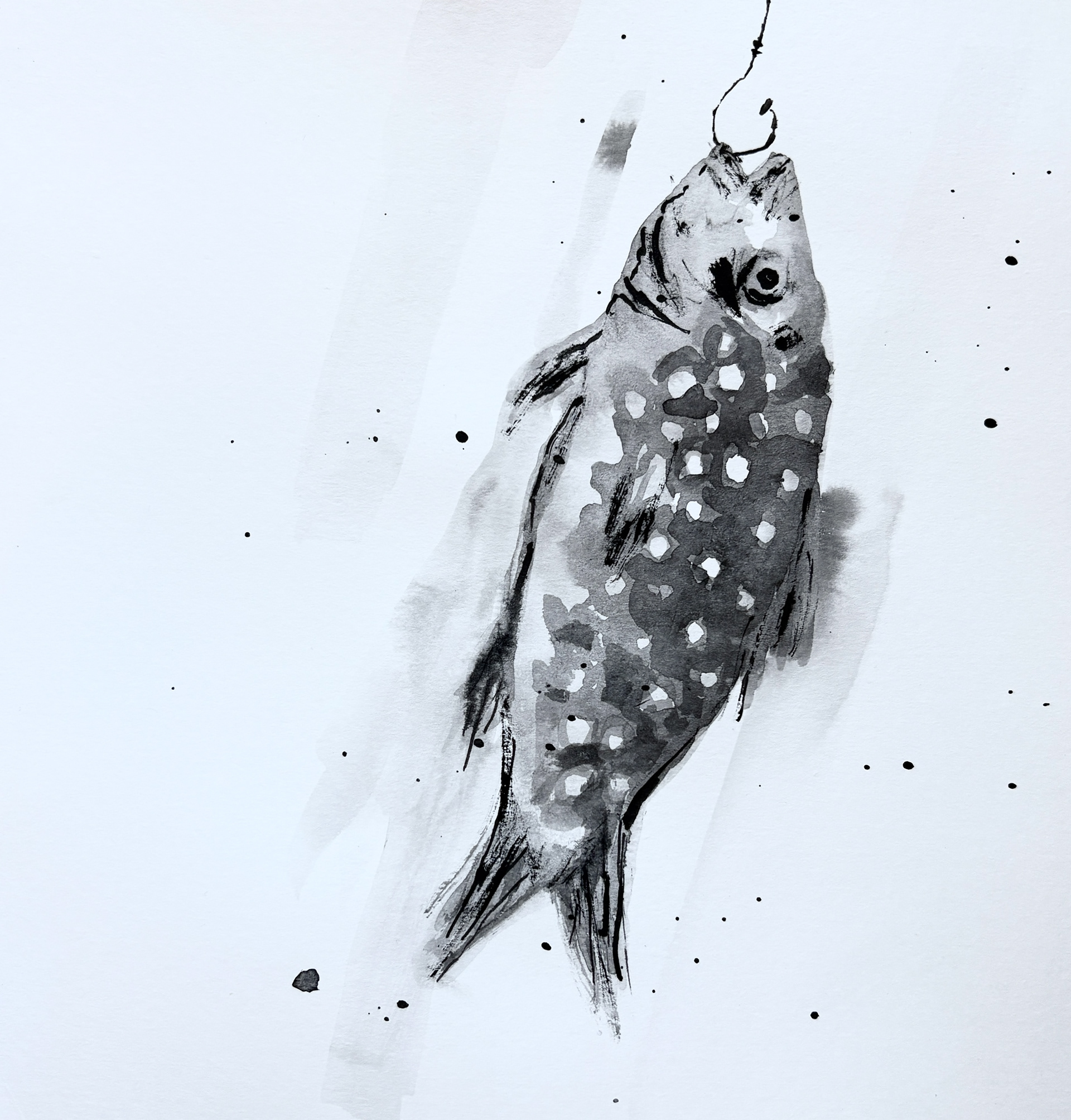 For Lily Ryder's Album Songfish