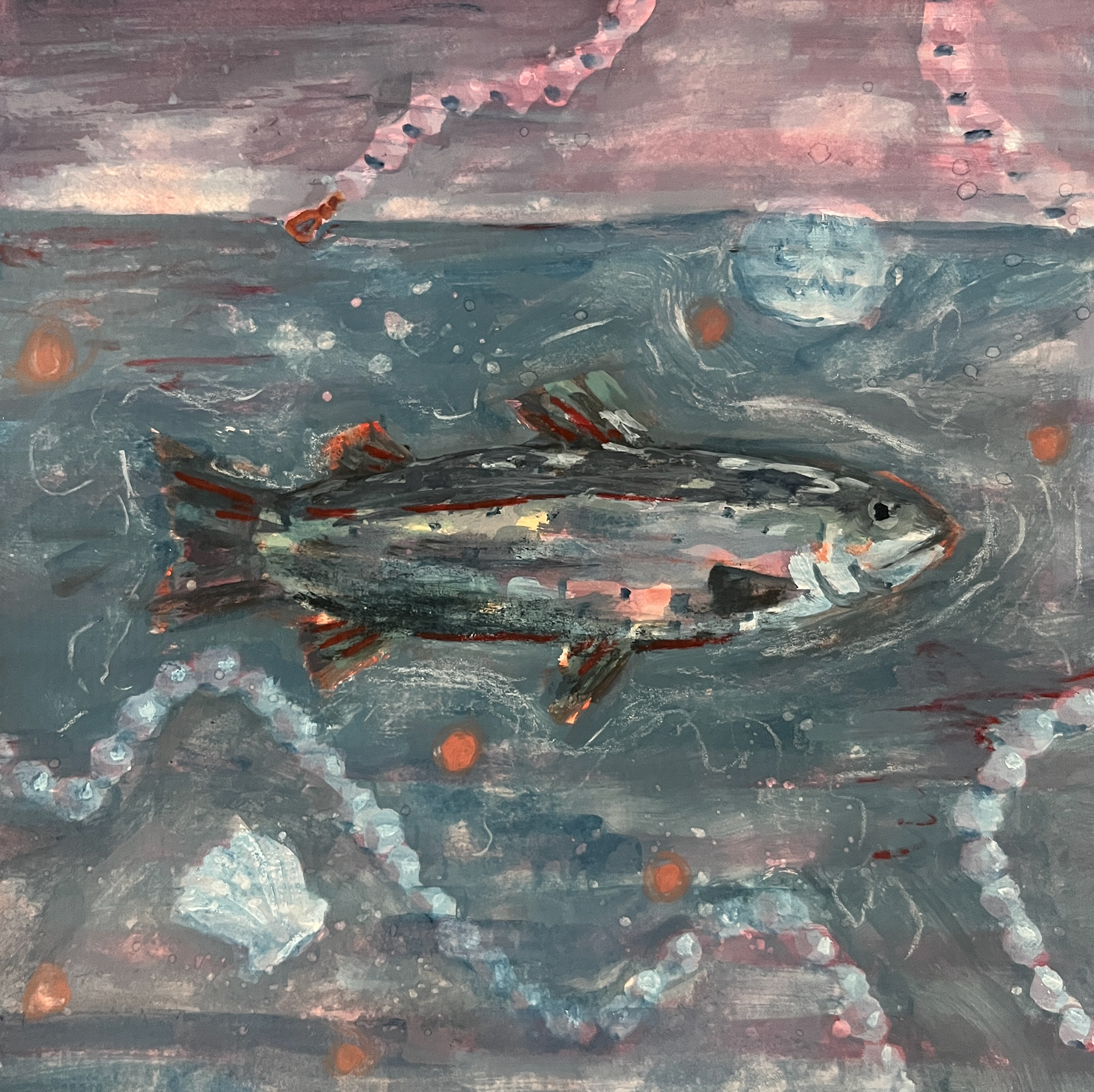 For Lily Ryder's Album Songfish