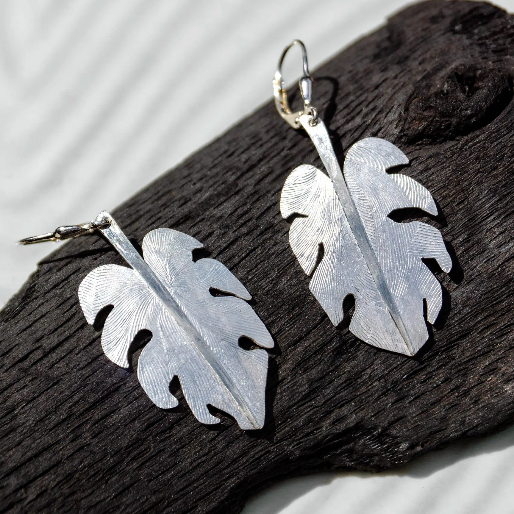 monstera leaf drops