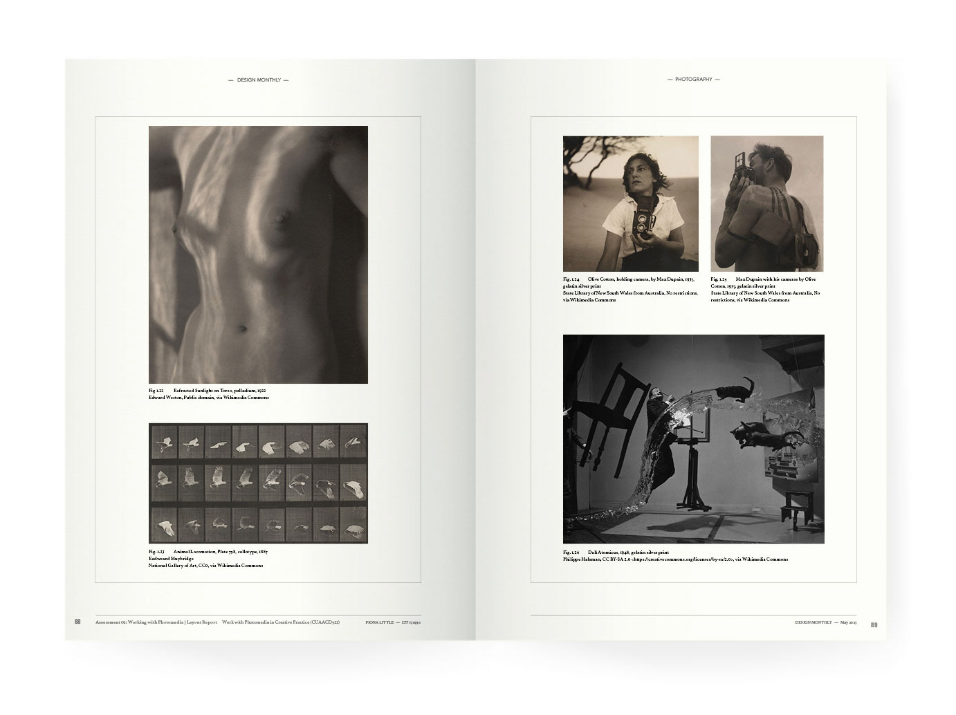 a collection of photographs, a naked female form, birds in a series in a grid formation, two photographers, a photo capturing floating objects