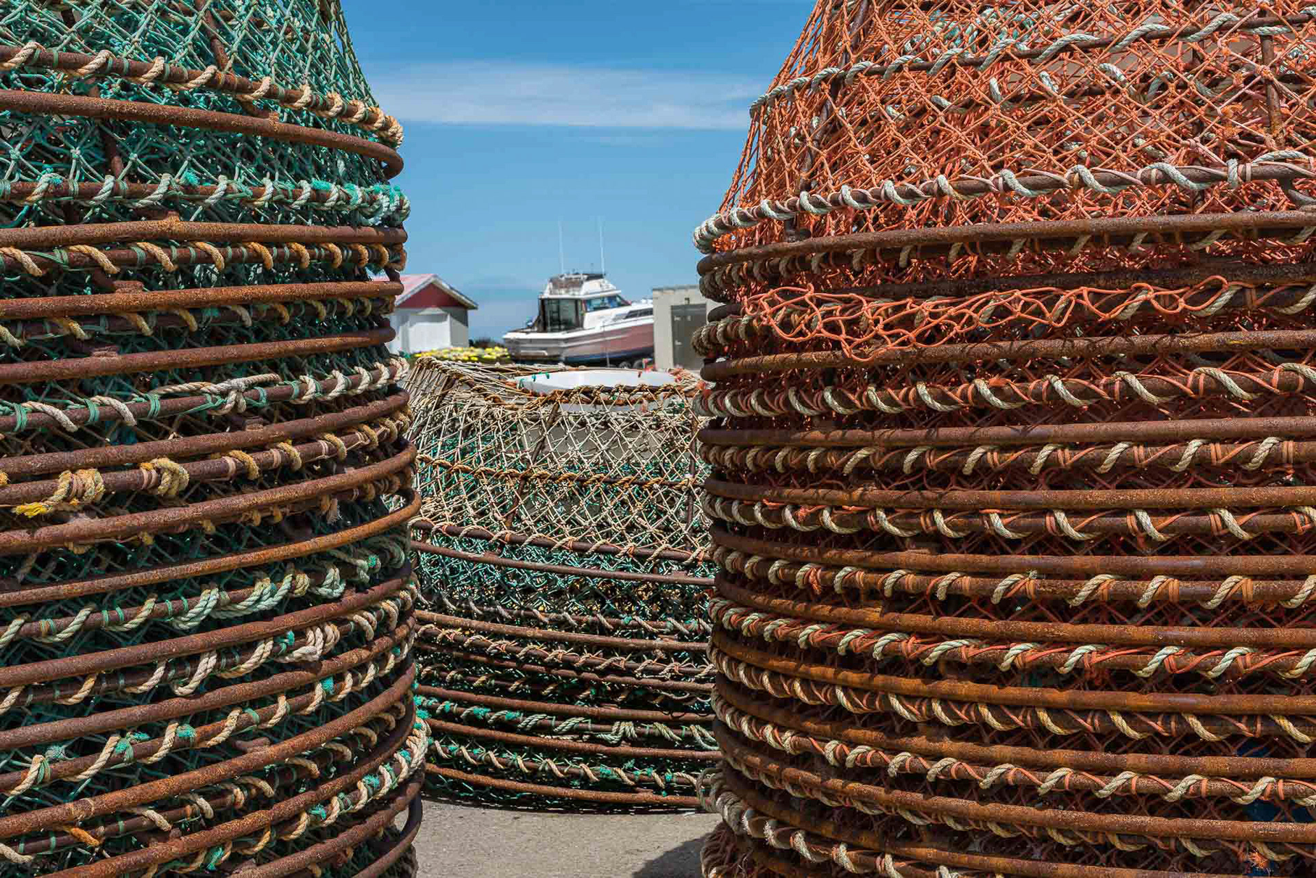 crab traps