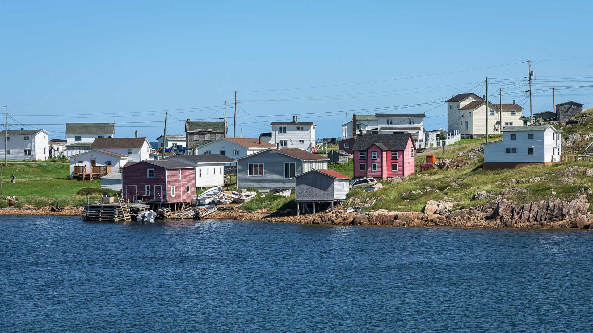 the pink house