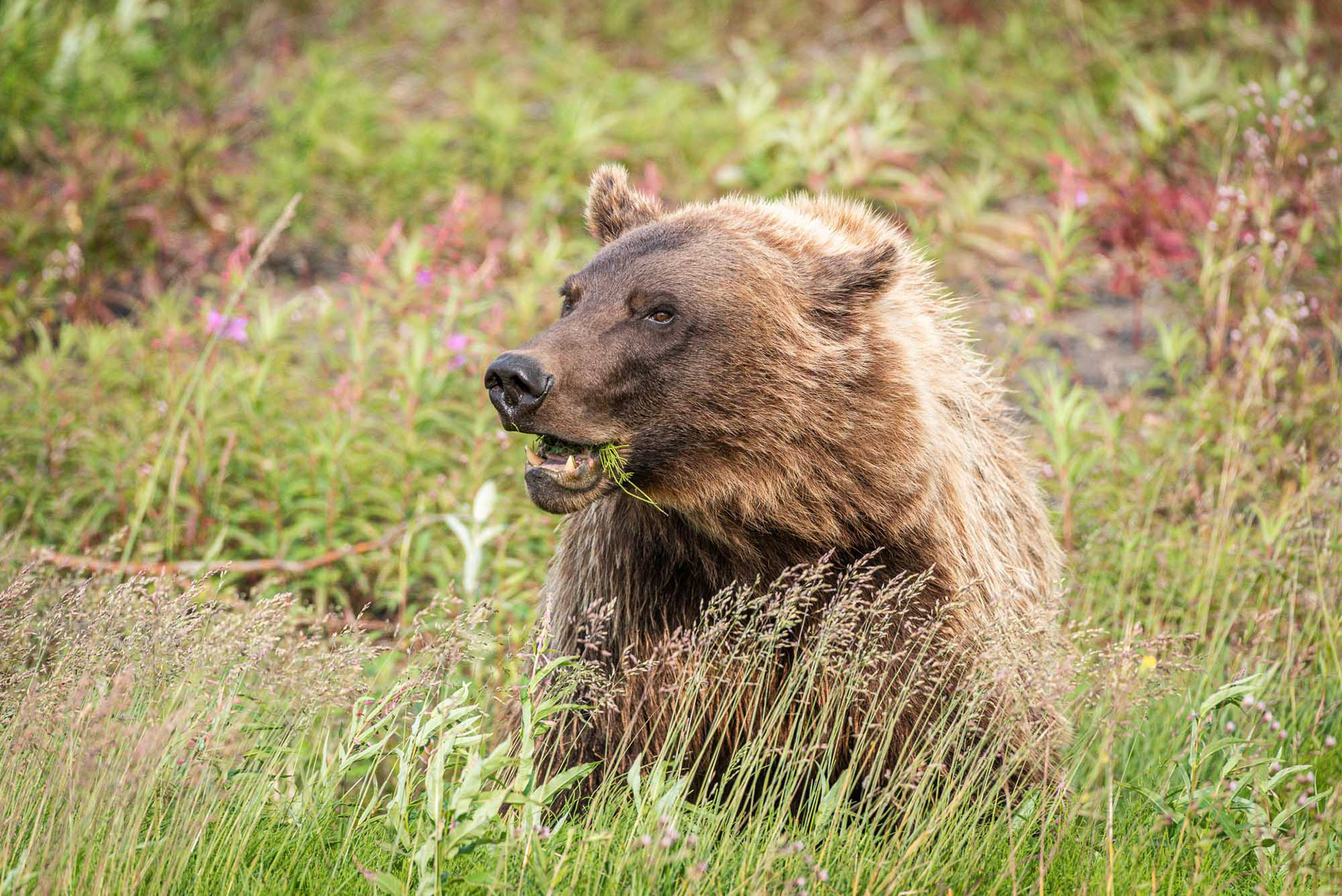 salad in my teeth?
