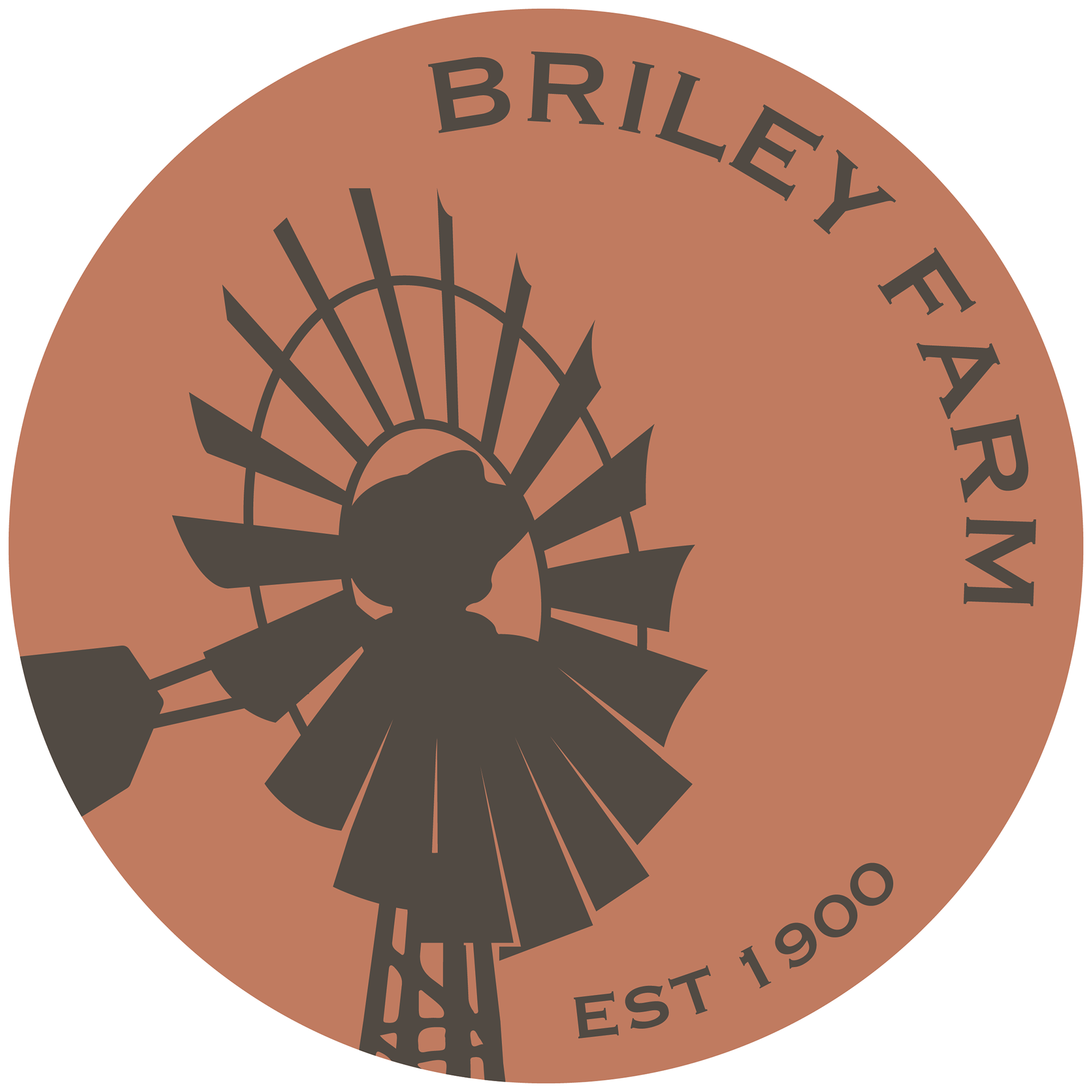 Secondary Logo