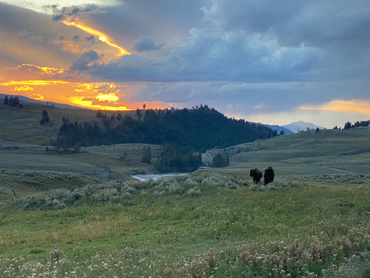 Yellowstone