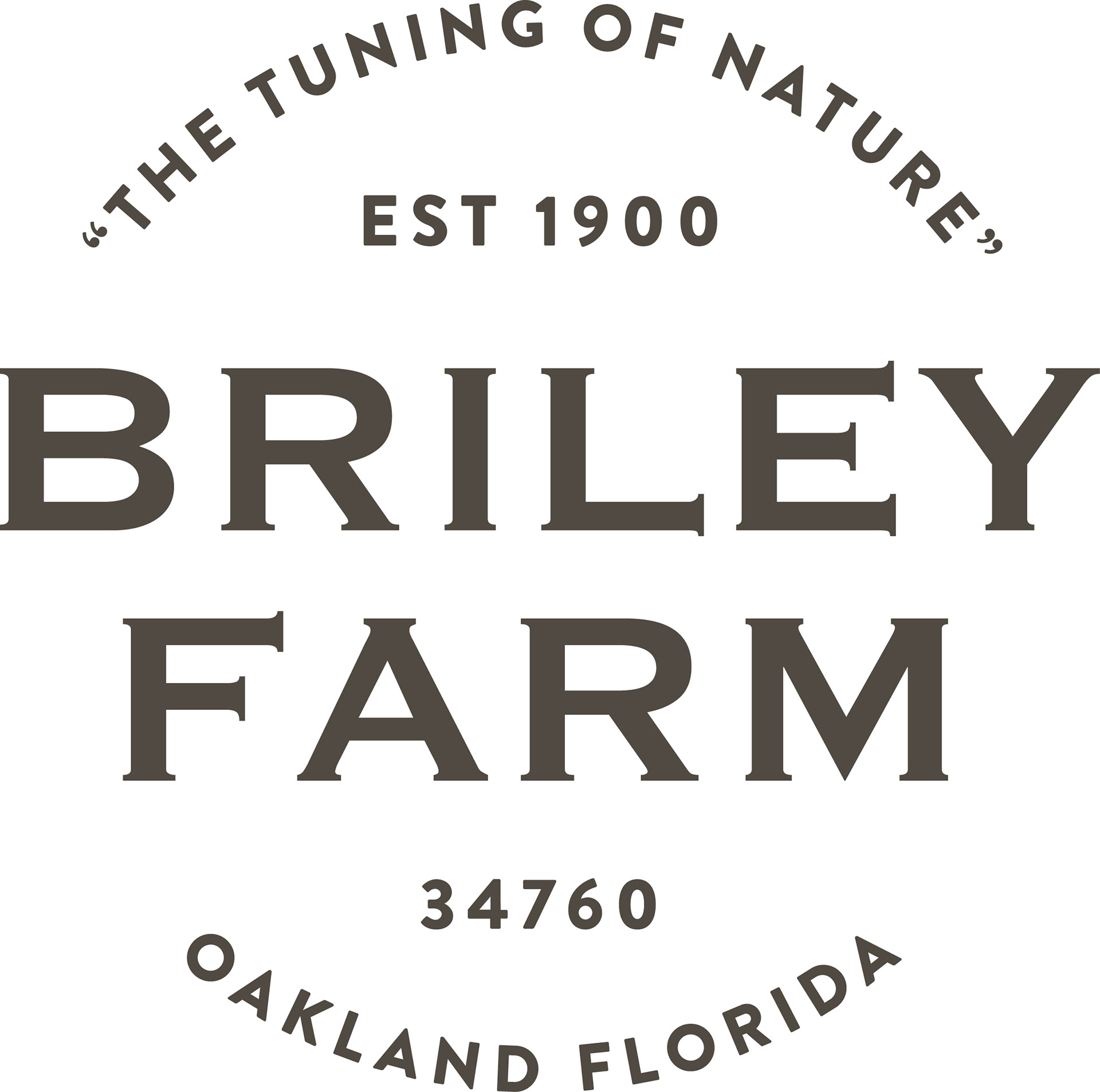 Secondary Wordmark