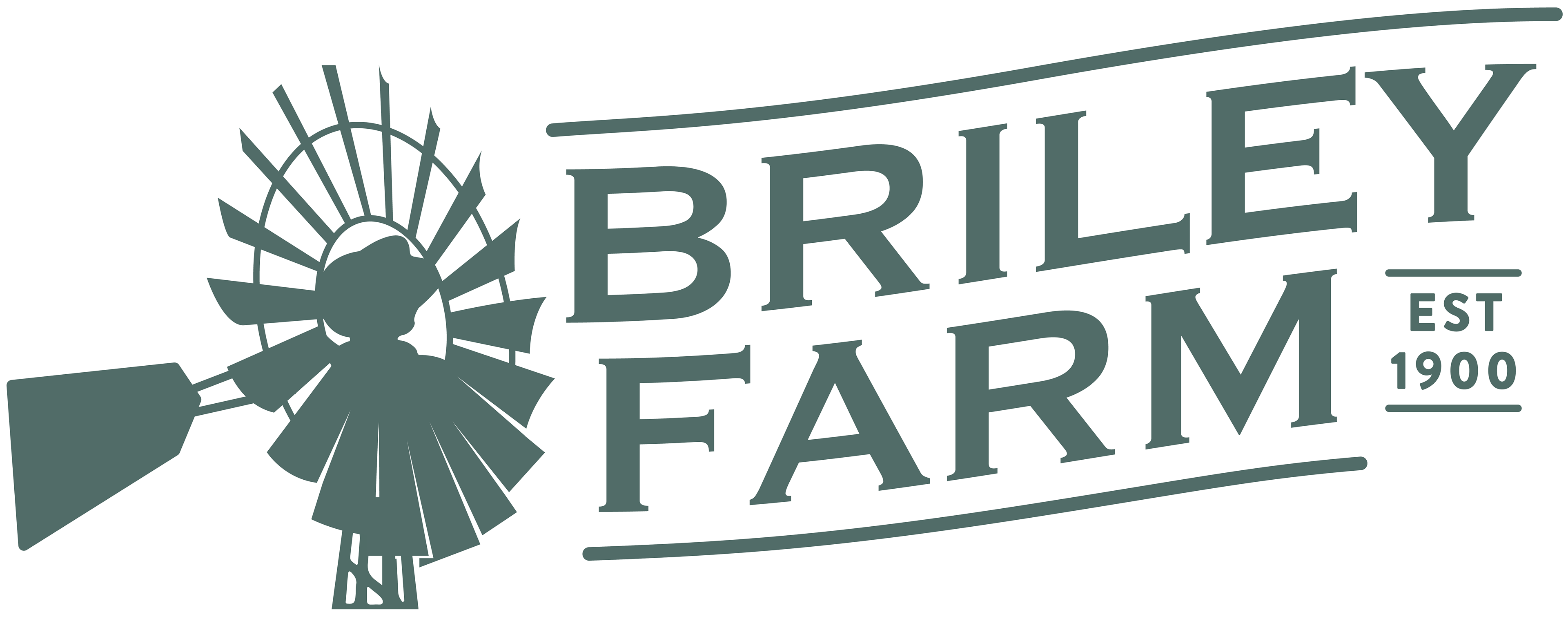 Primary Logo