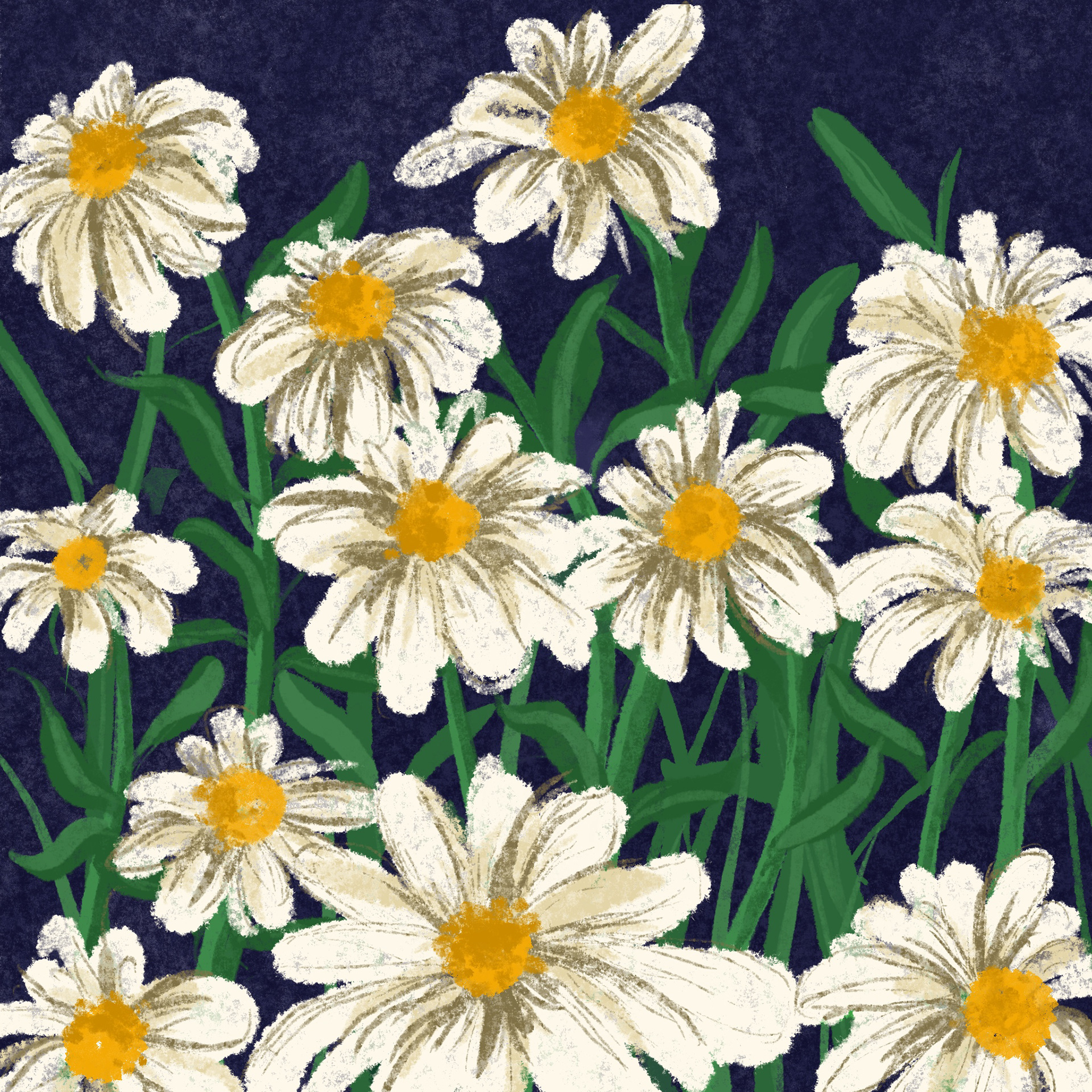 Bloom