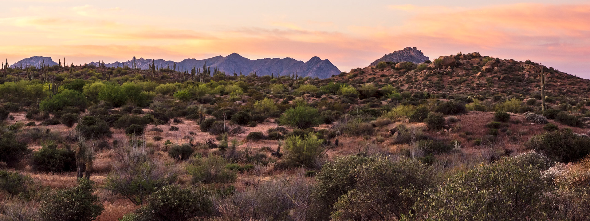 McDowell Sonoran Preserve