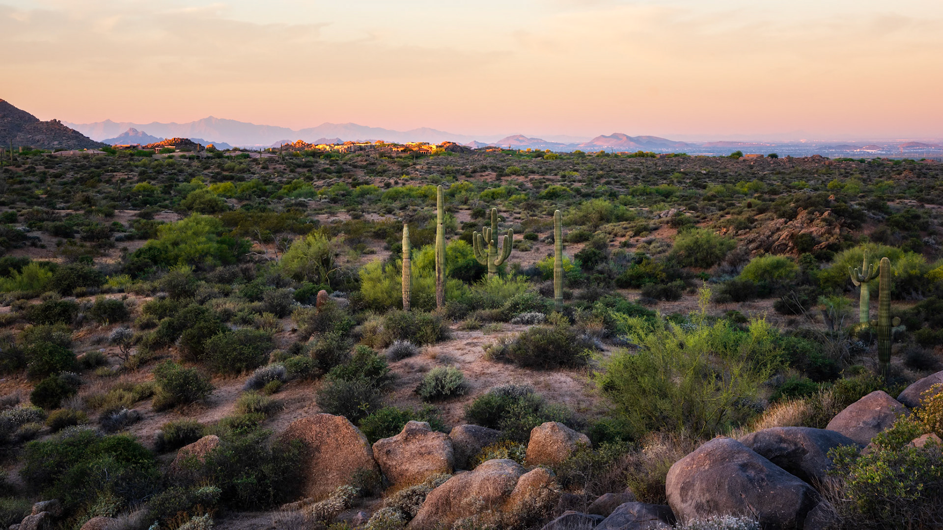 McDowell Sonoran Preserve