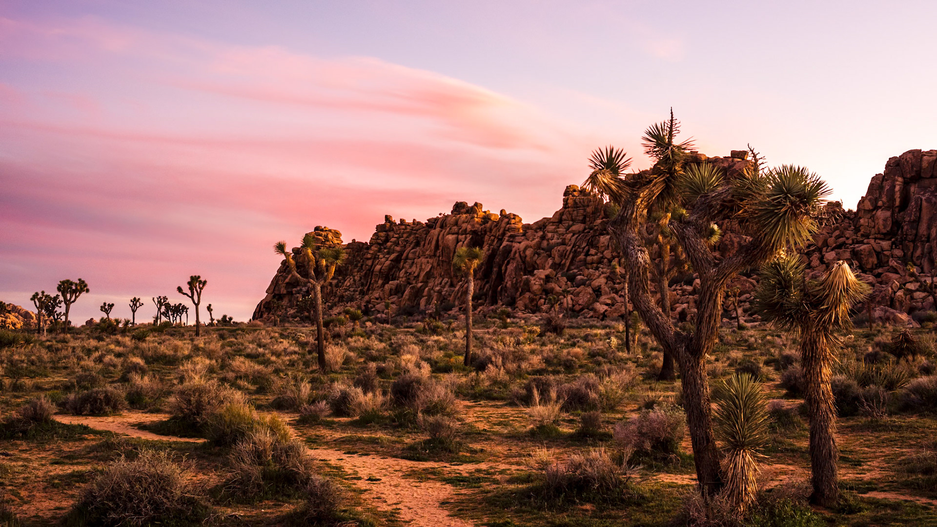 Boy Scout Trailhead, JTNP