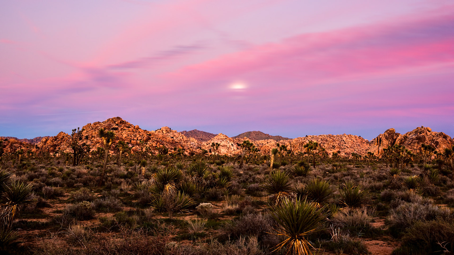 Boy Scout Trailhead, JTNP