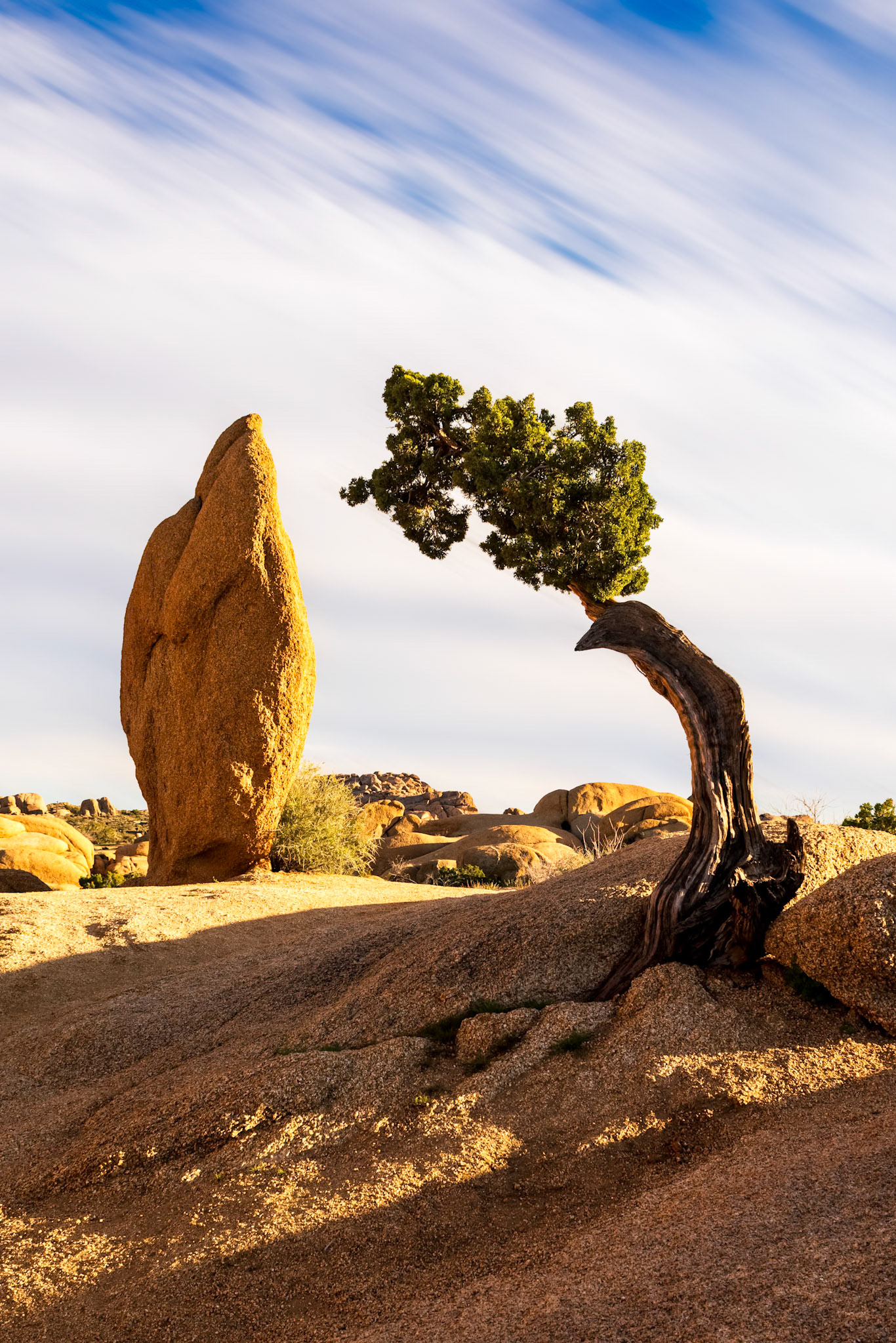 Penguin Rock, JTNP