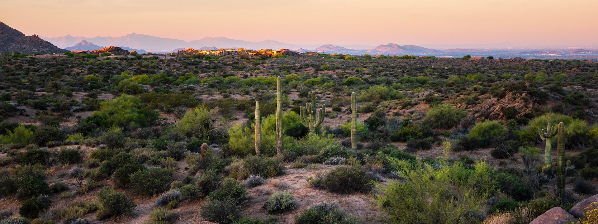 McDowell Sonoran Preserve