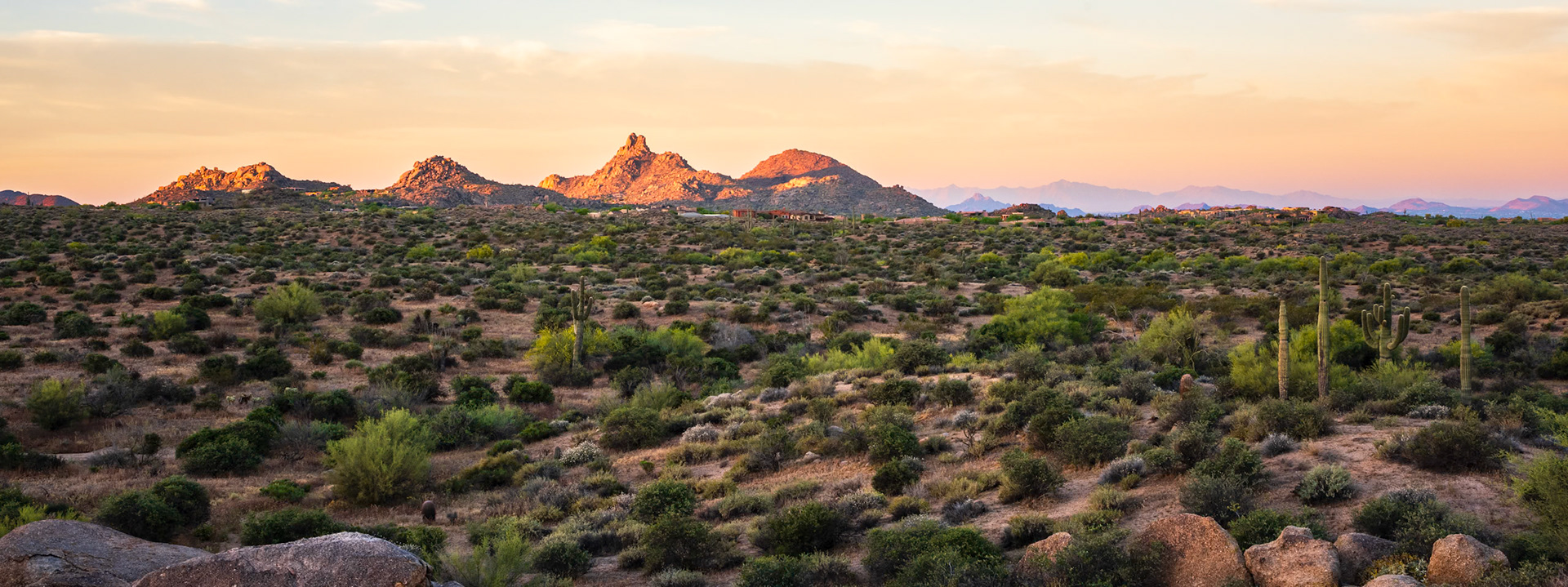 McDowell Sonoran Preserve