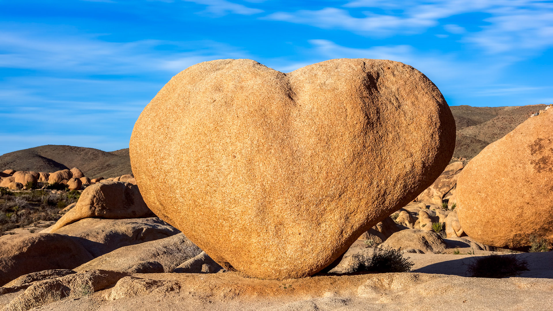 Heart Rock, JTNP