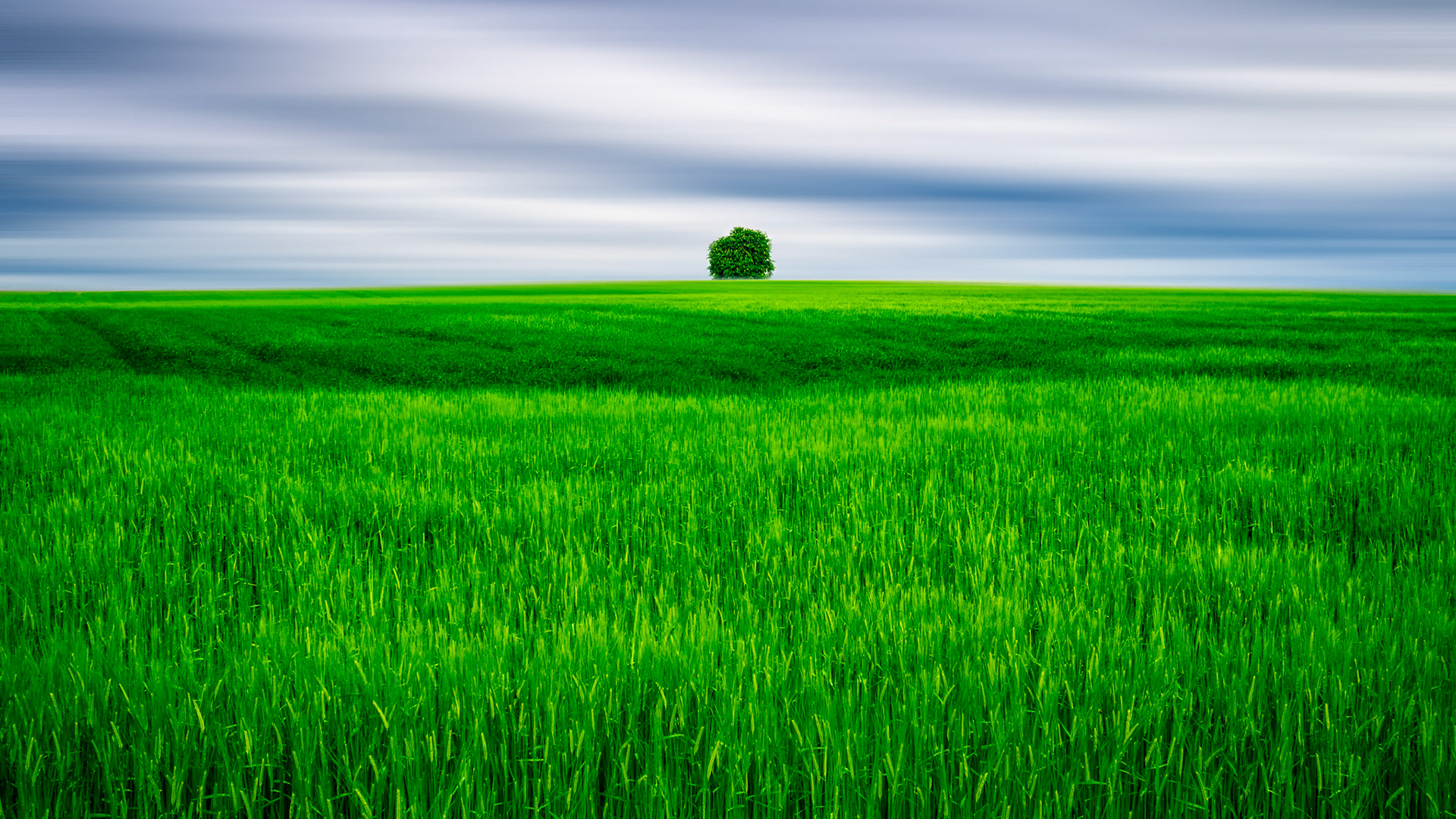 County Carlow, Ireland, 16:9 crop w/Adamski Effect