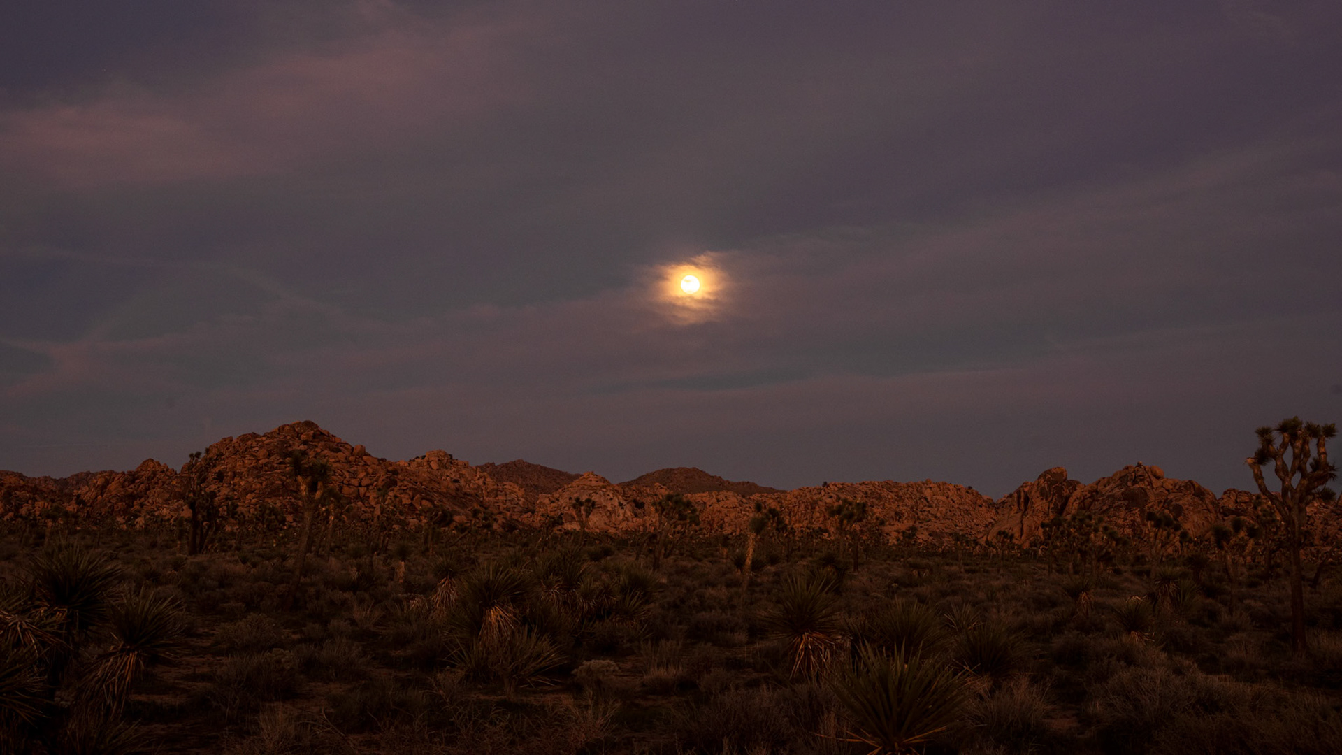 Boy Scout Trailhead, JTNP