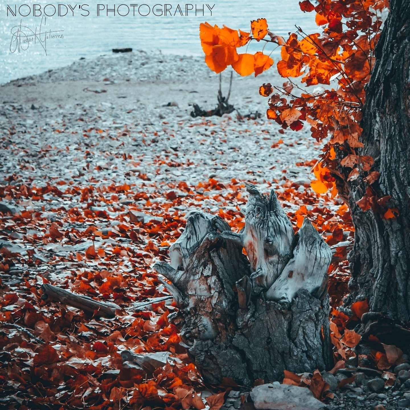 N.P Pueblo West Resevoir