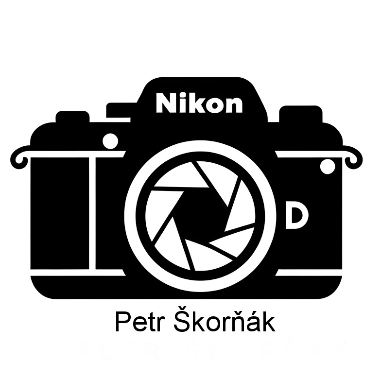 Petr Skornak