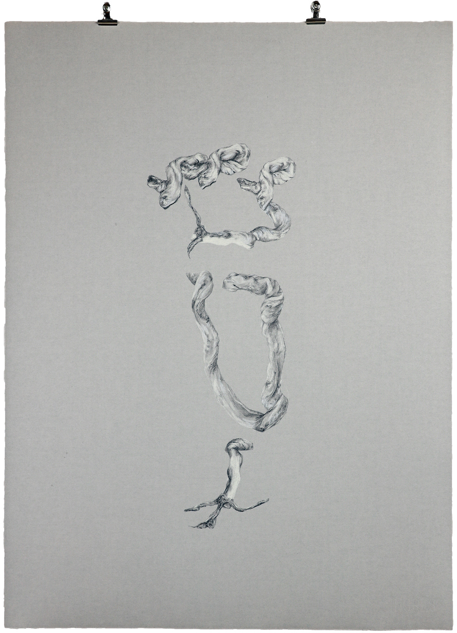 Pla 8, 2021, Graphit, Buntstift auf Papier, 64 x 48 cm