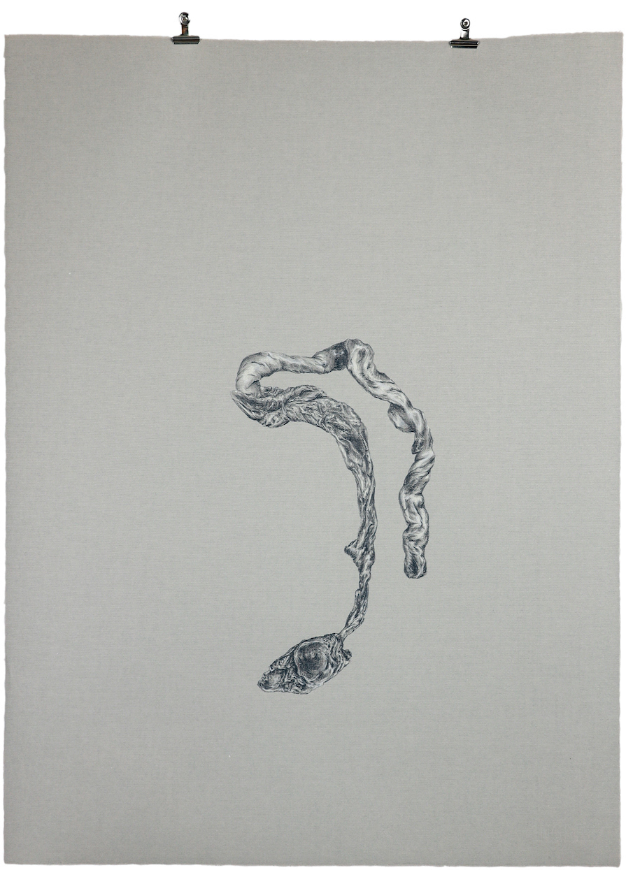 Pla 1, 2021, Graphit, Buntstift auf Papier, 64 x 48 cm