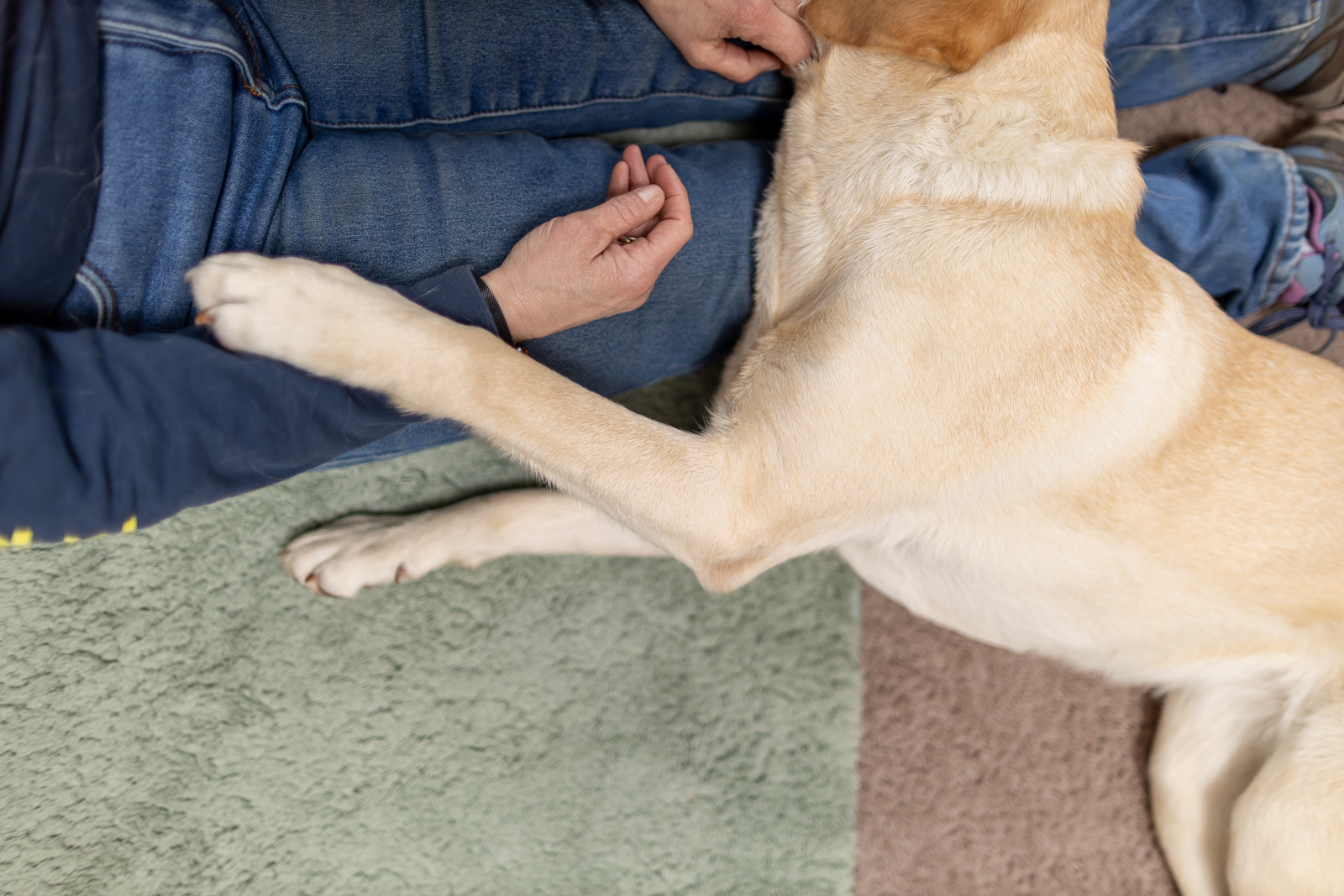 83