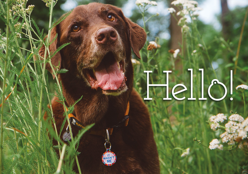 Hello!