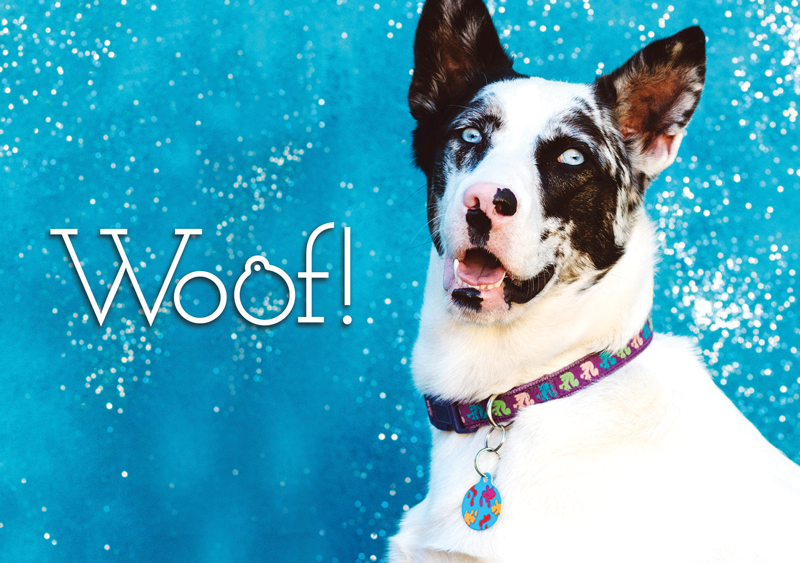 Woof!