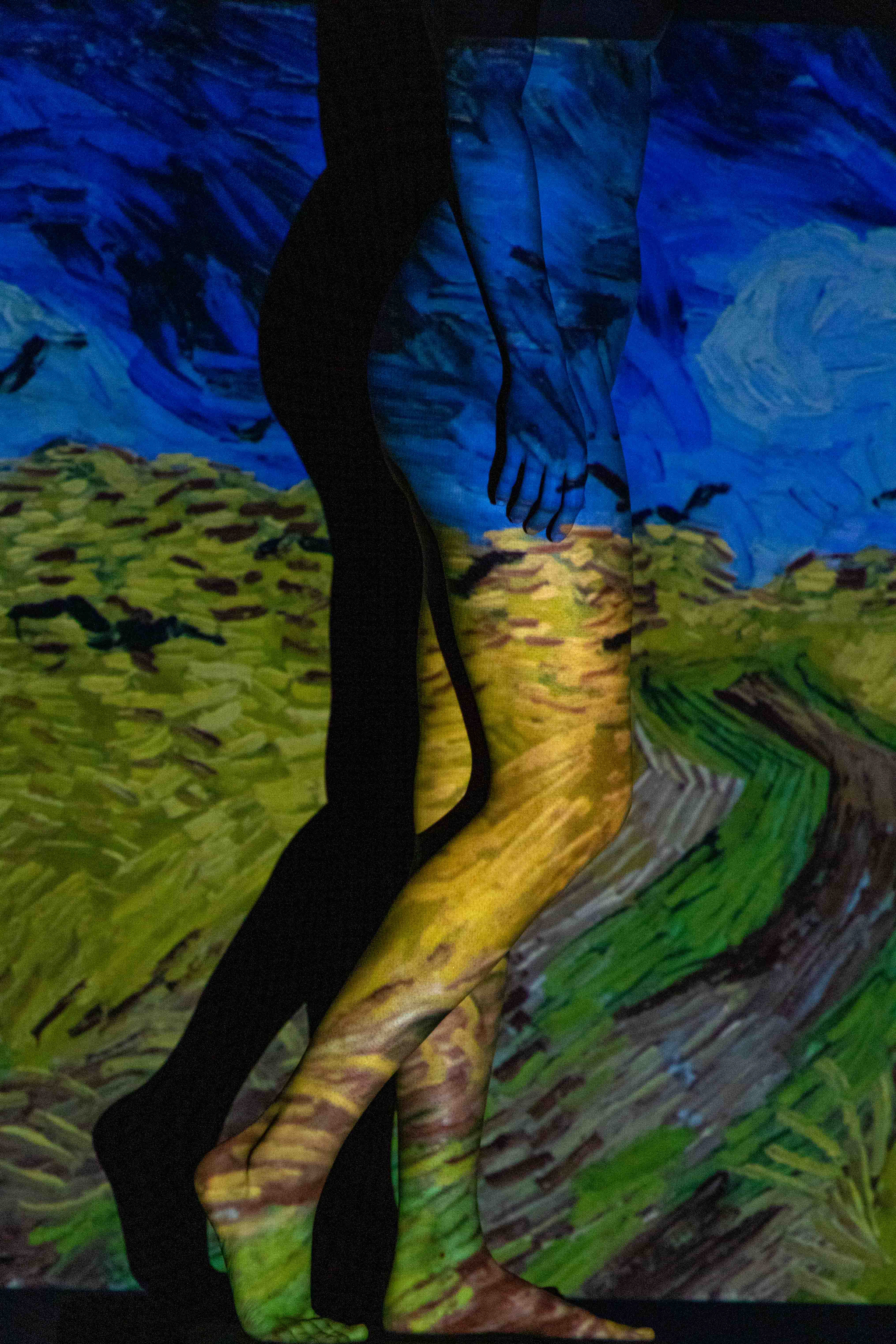 Campo di grano con volo di corvi - Vincent Van Gogh
