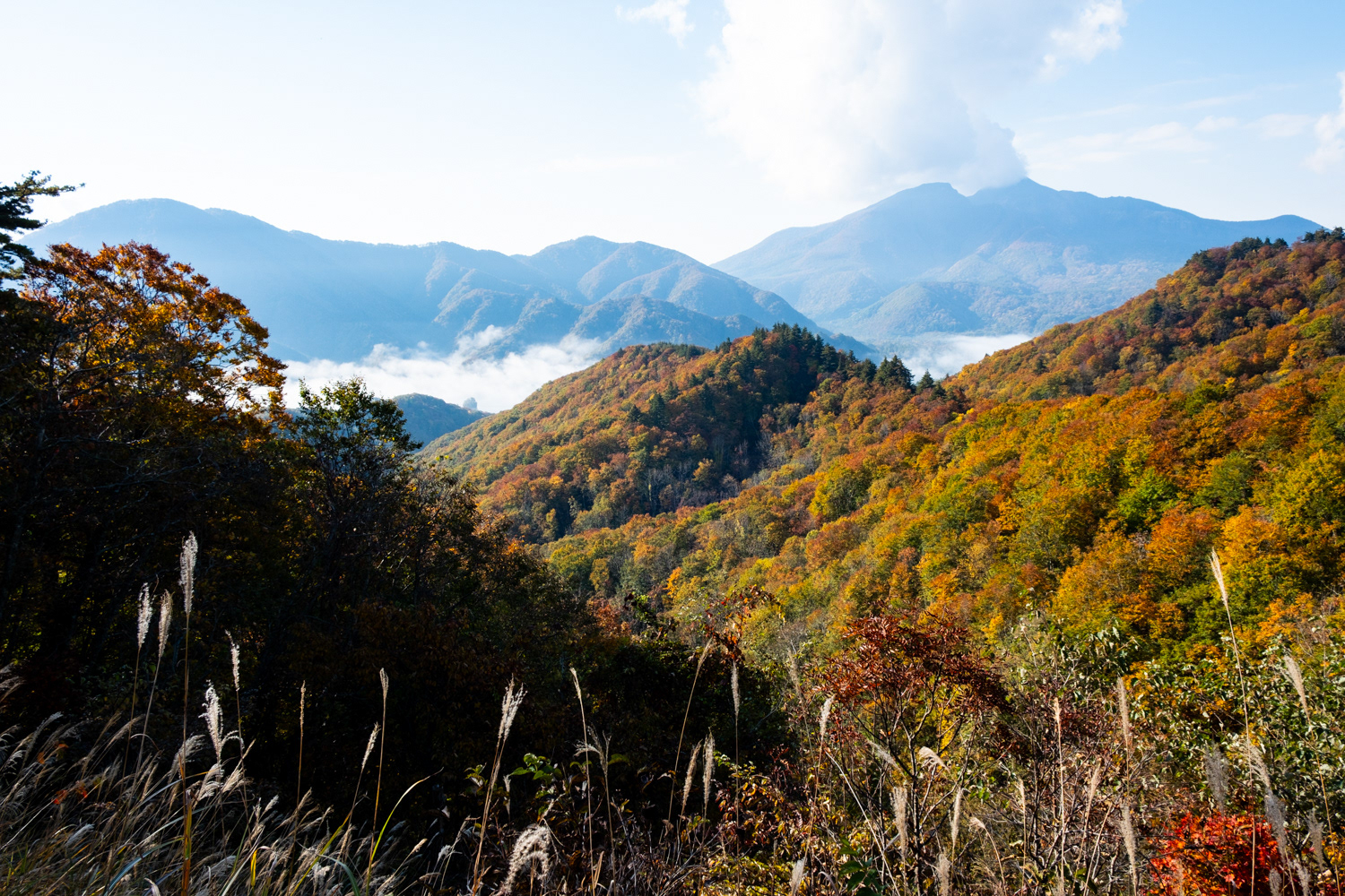 Fukushima prefecture