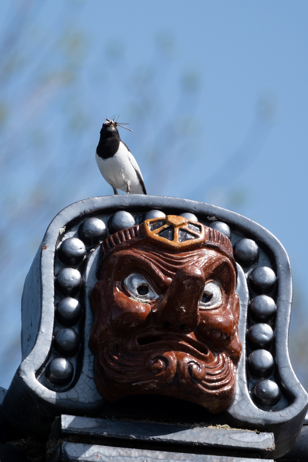 Tengu, Gunma prefecture